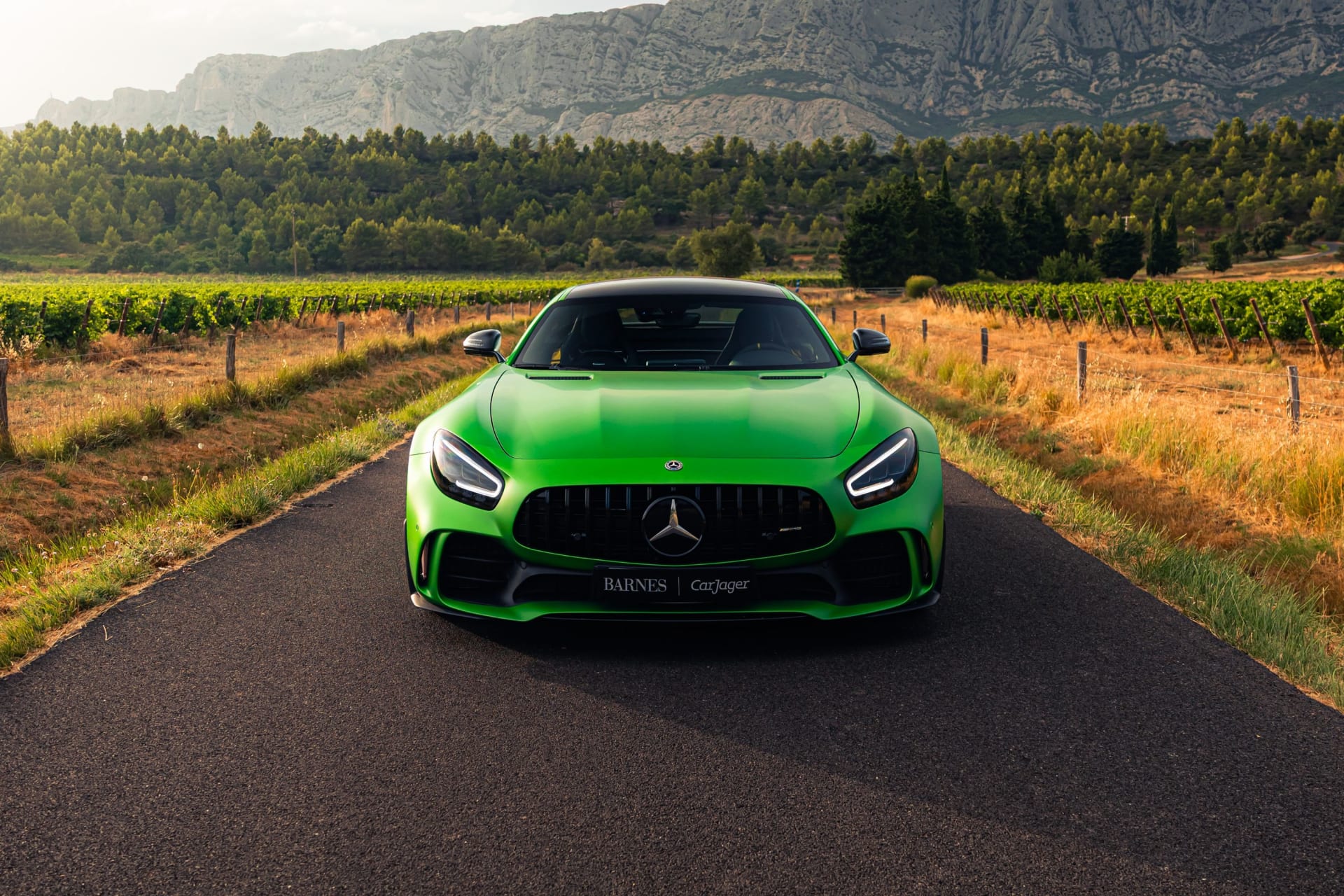 Mercedes-benz Amg Gt R