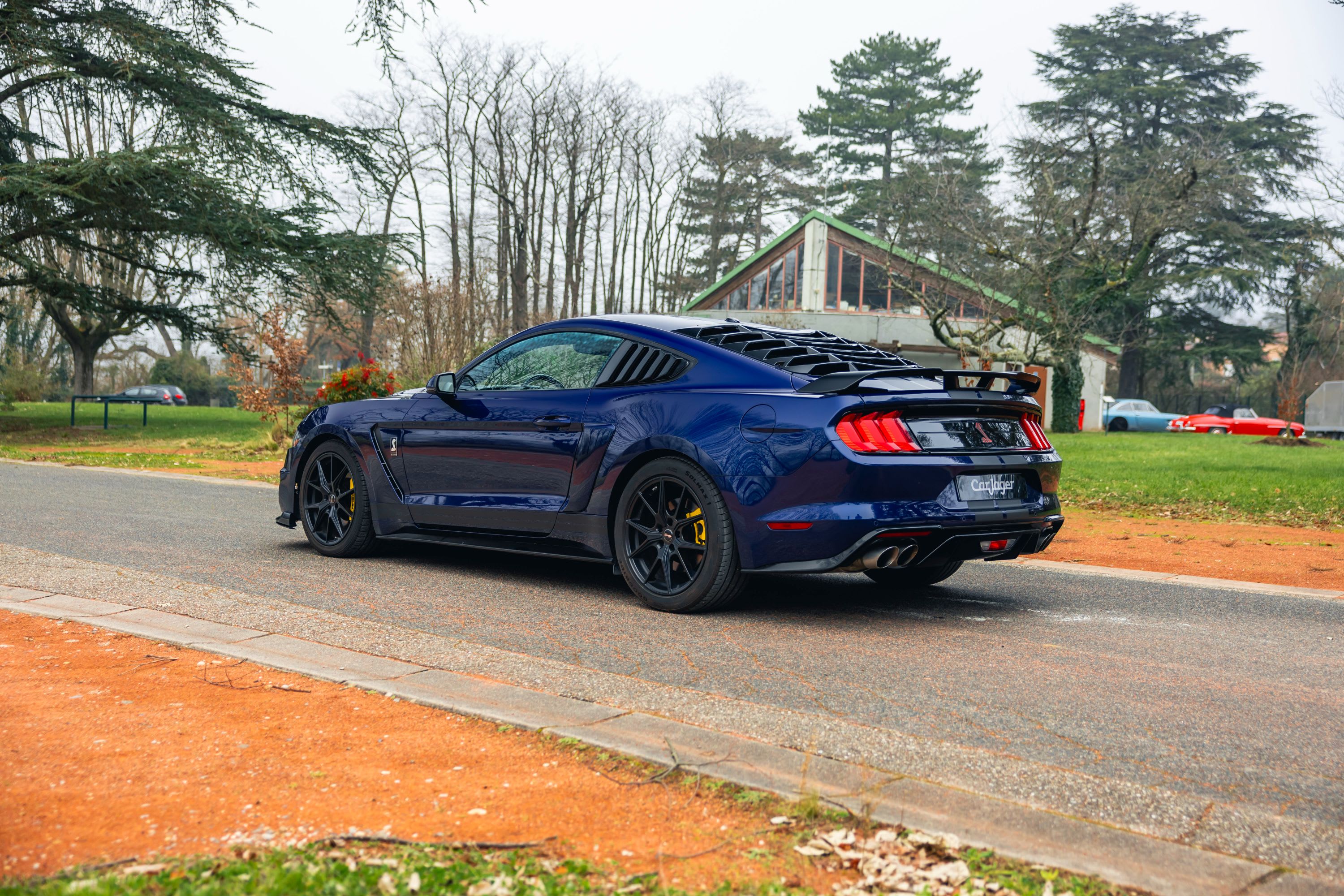 Ford Mustang Gt 450