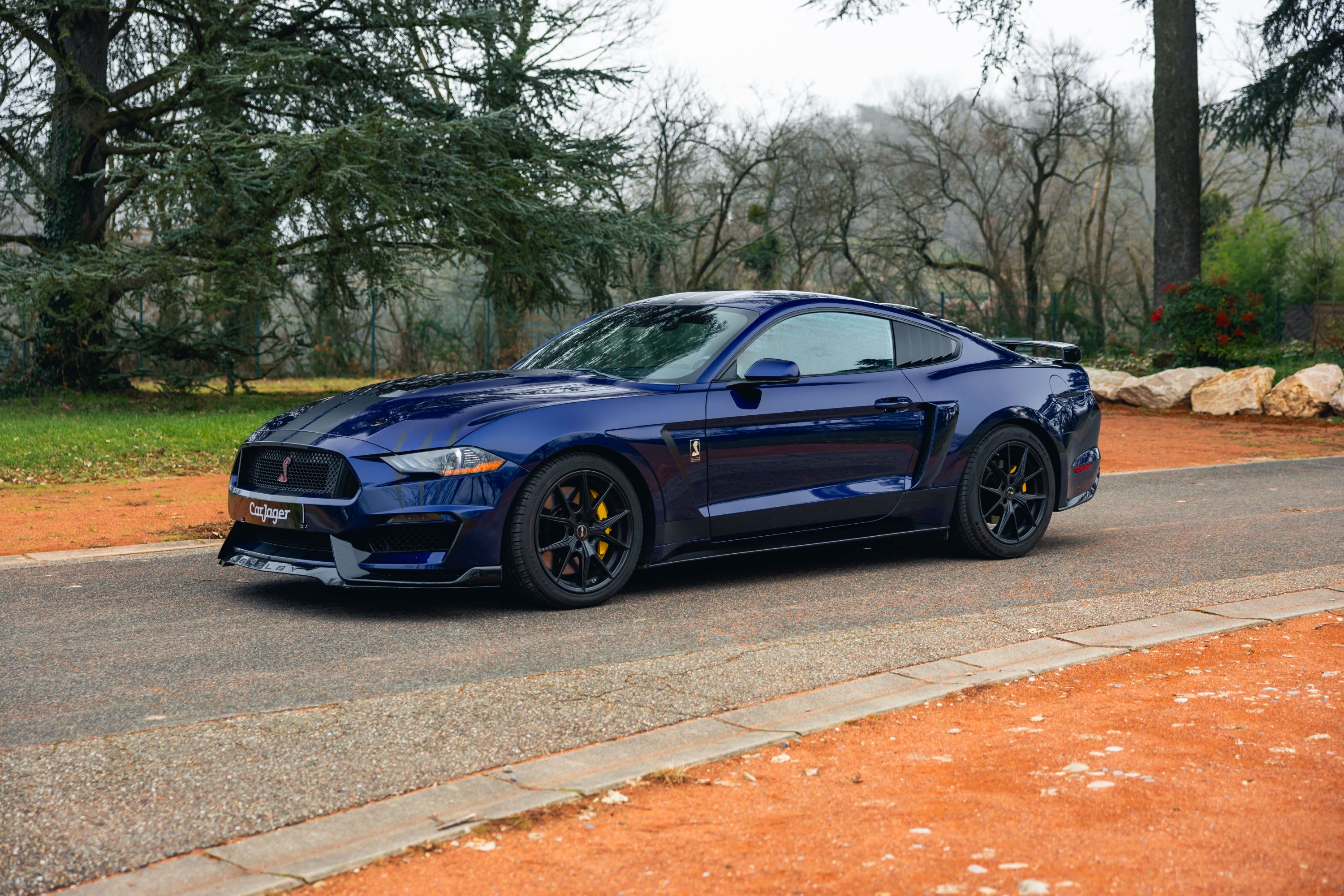 FORD Mustang Gt 450 2019 occasion extérieur (2)