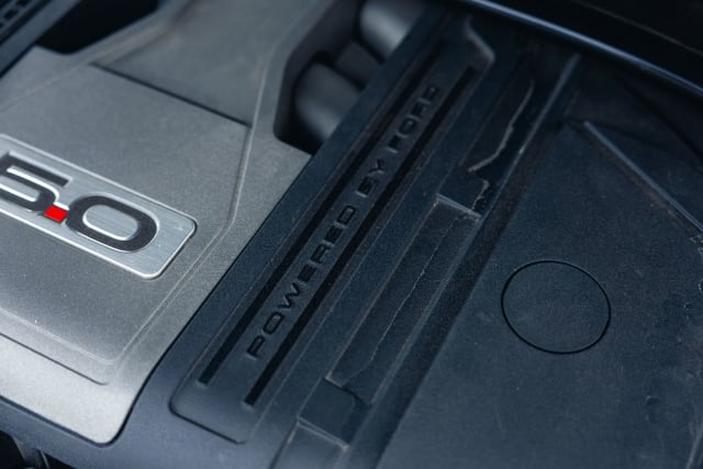 FORD Mustang Gt 450 2019 used car