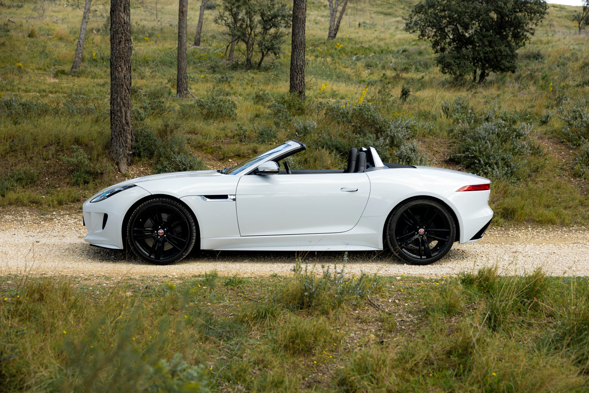 Jaguar F-type  Cabriolet