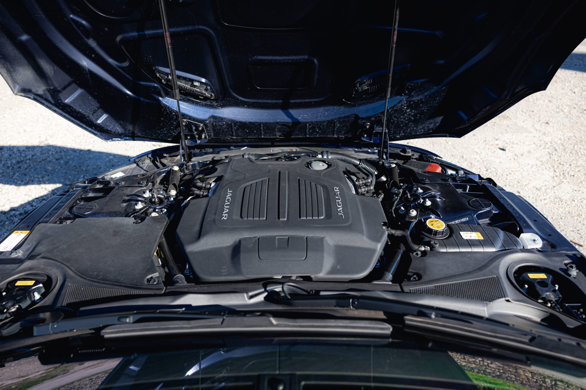 JAGUAR F-type P450 R-dynamic 2021 occasion mécanique (1)