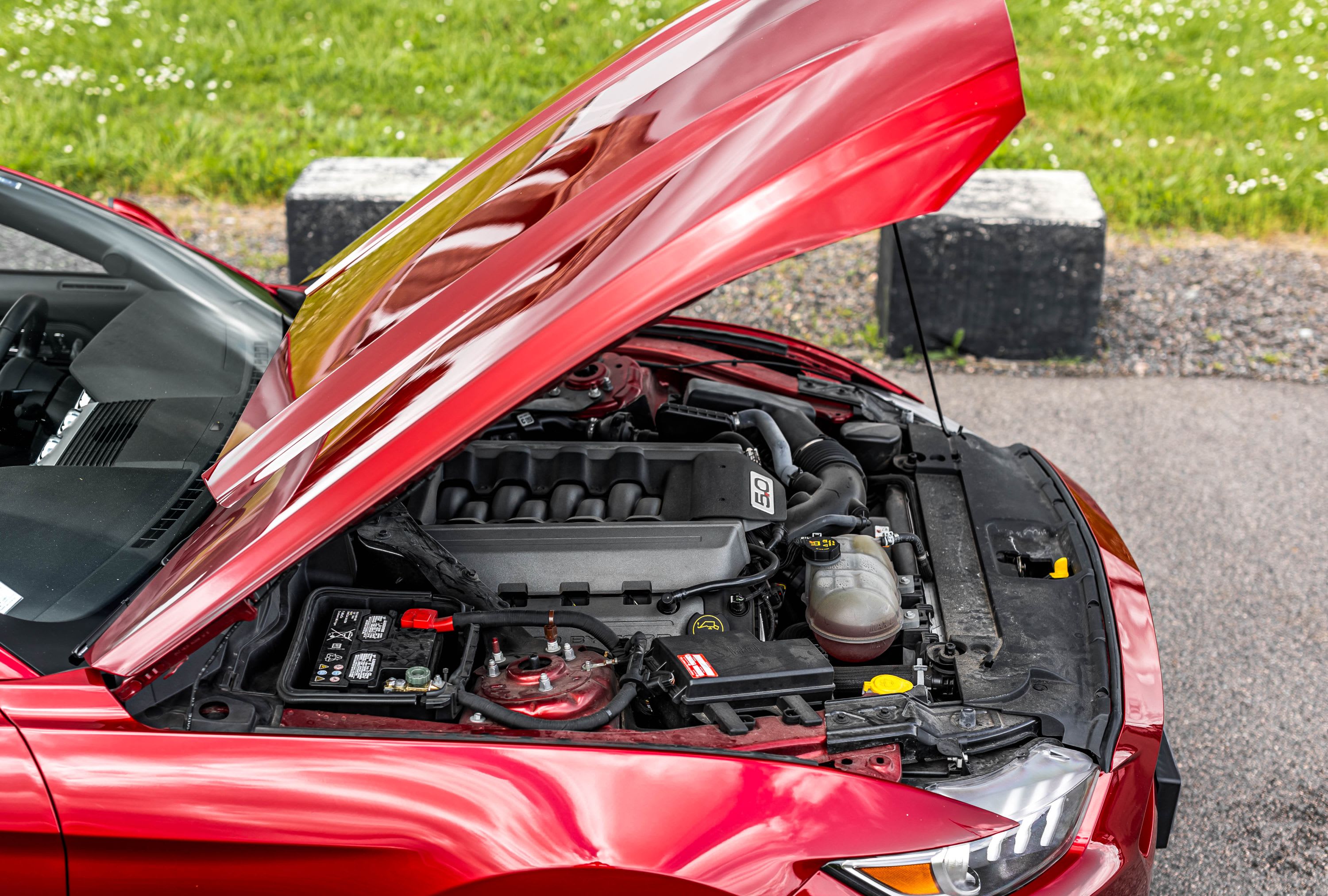 FORD Mustang Vi 5.0 Cabriolet 2017 occasion mécanique (1)