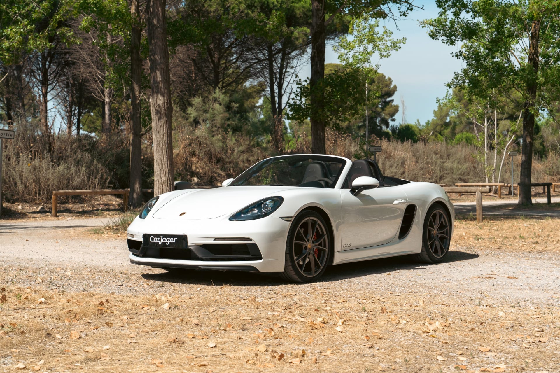Porsche Boxster 718 Gts