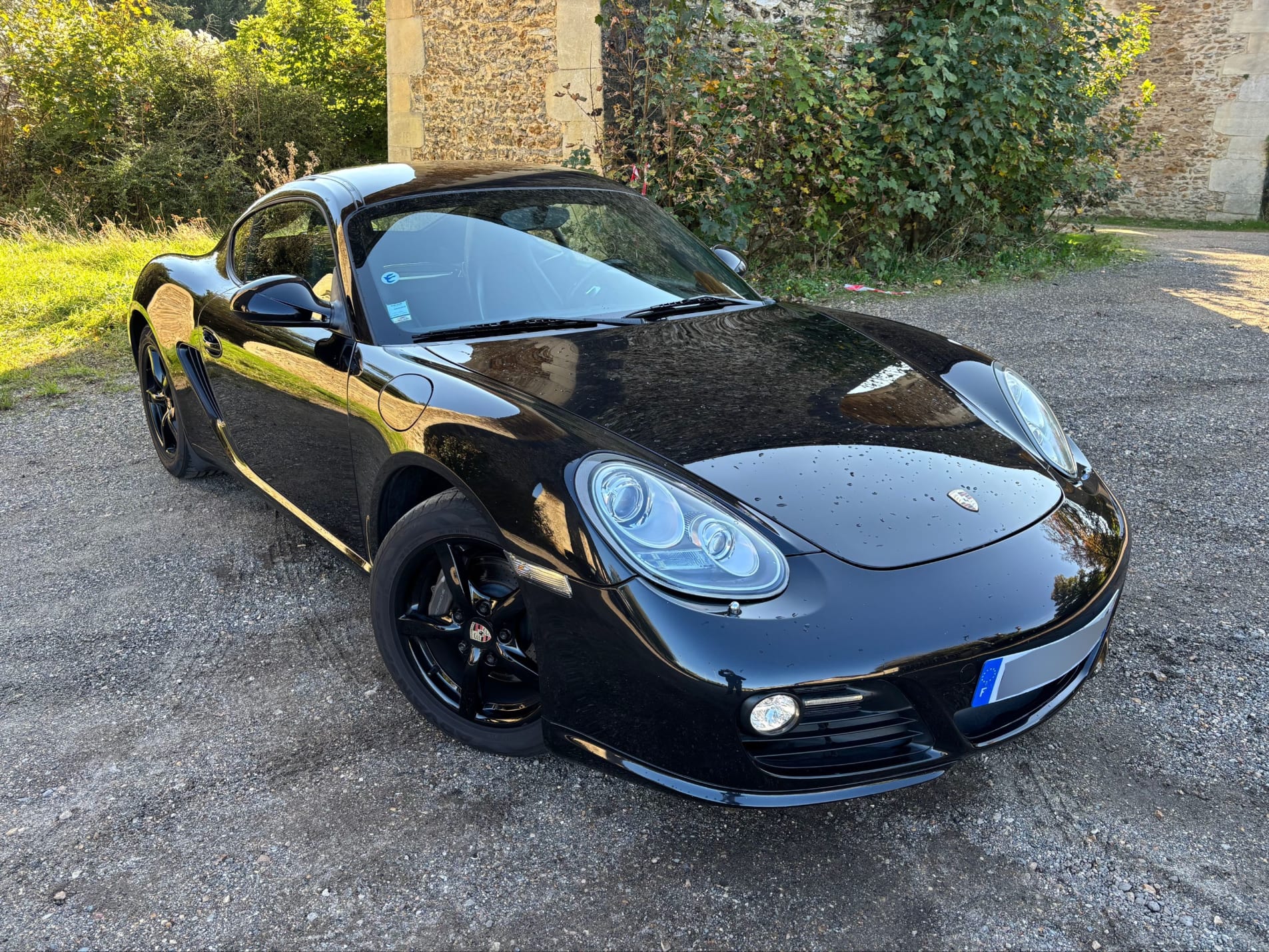 PORSCHE Cayman 987 2.9 2009