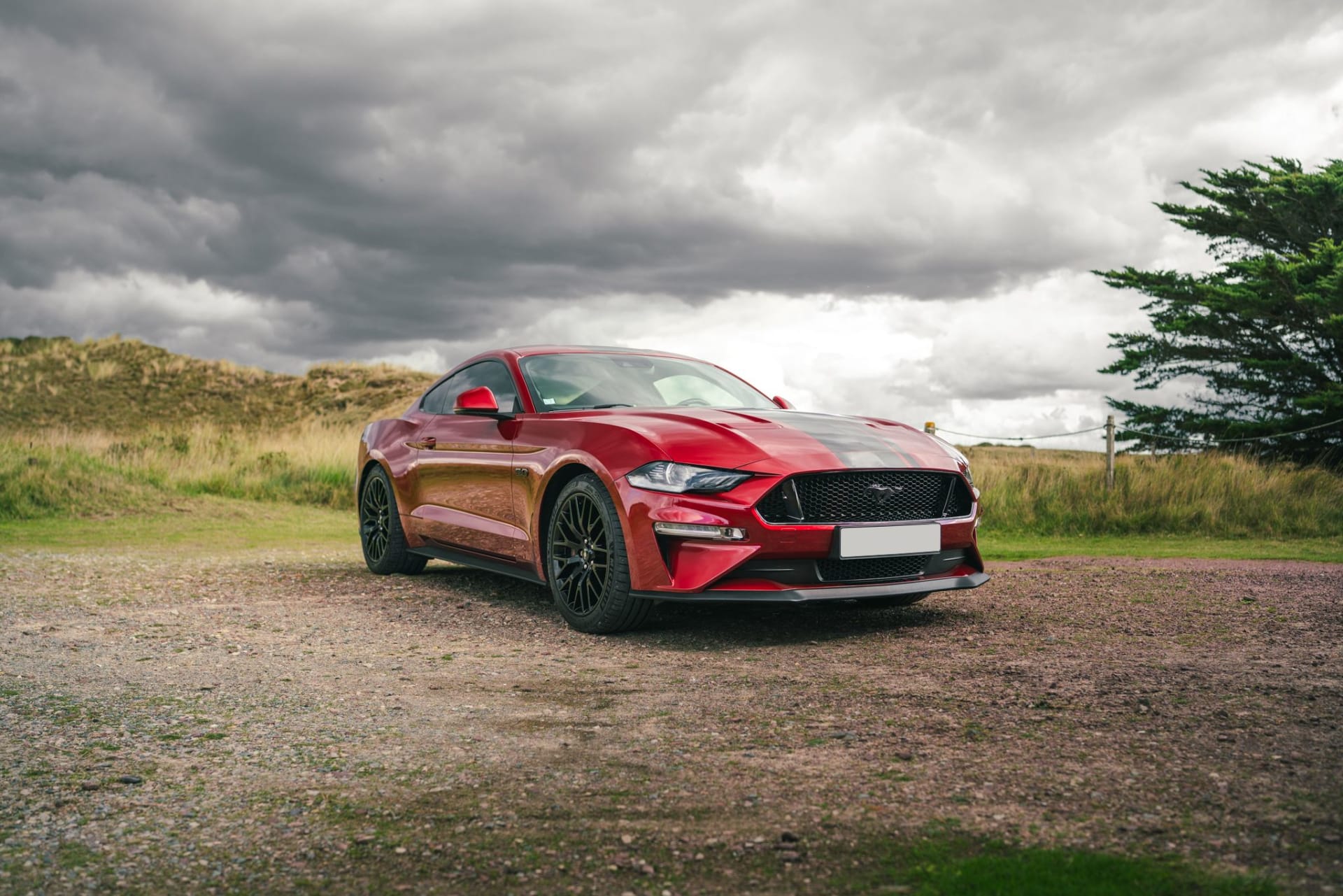 Ford Mustang Vi Gt 450