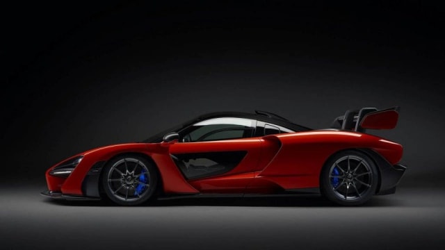 MCLAREN Senna 2019 usado