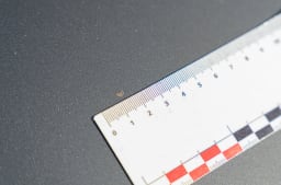 ALFA ROMEO Gtv 6 Production Usine 1983 occasion