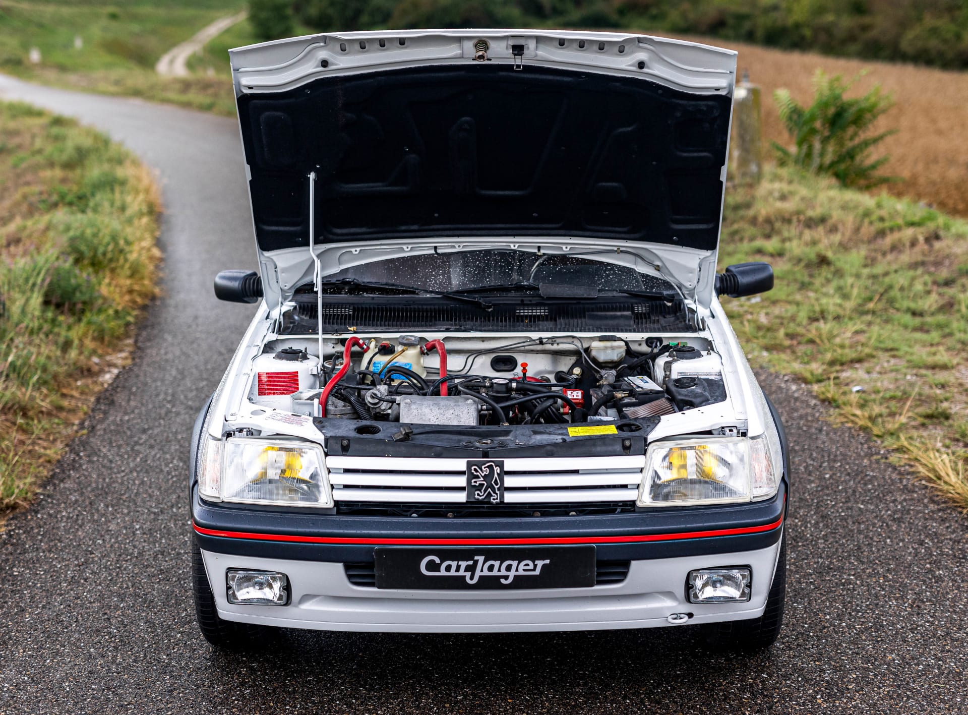 PEUGEOT 205 Gti 1989 occasion mécanique (1)