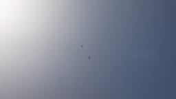 PORSCHE 911 997 Carrera 2005 occasion