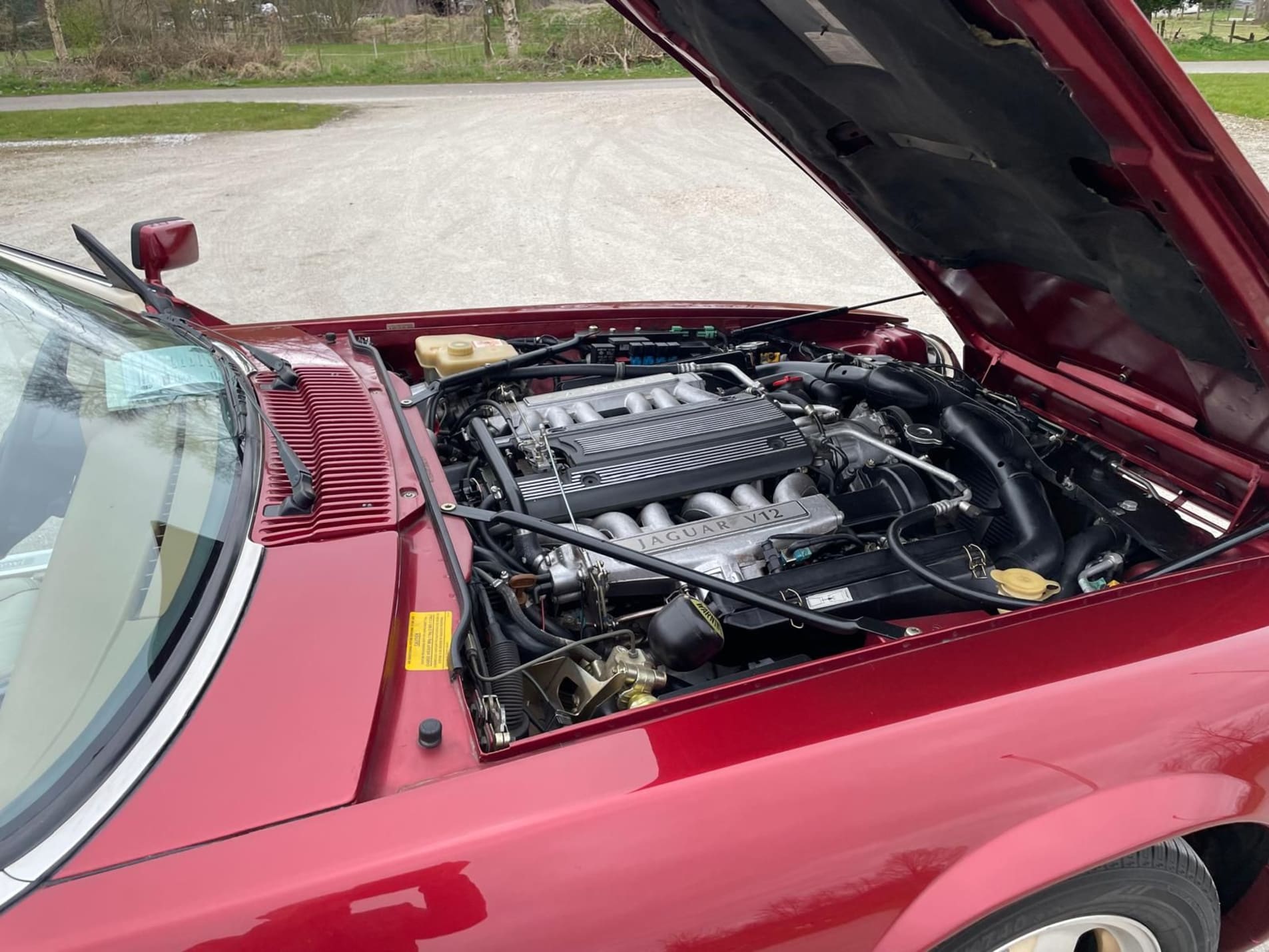 JAGUAR Xjs v12 6.0 Cabriolet 2+2 1994