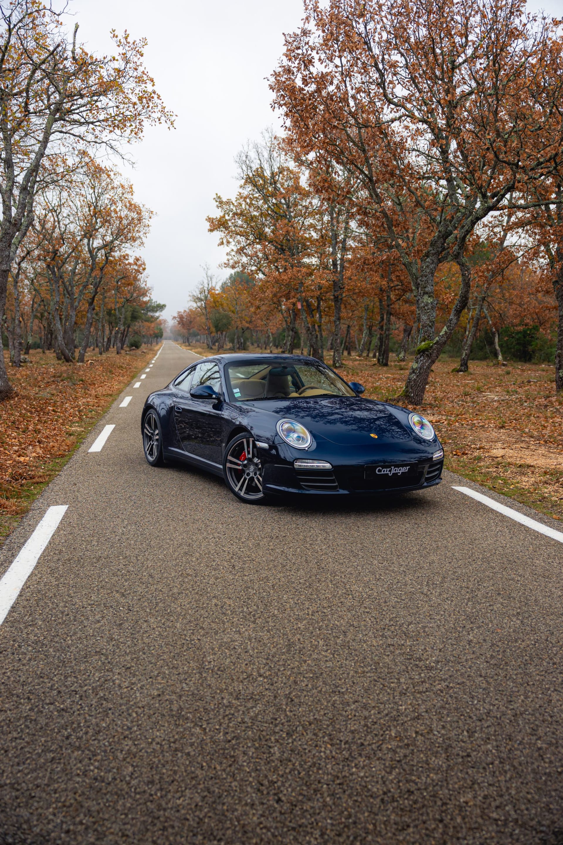 PORSCHE 911 997.2 Carrera 4s 2010 occasion détails (1)