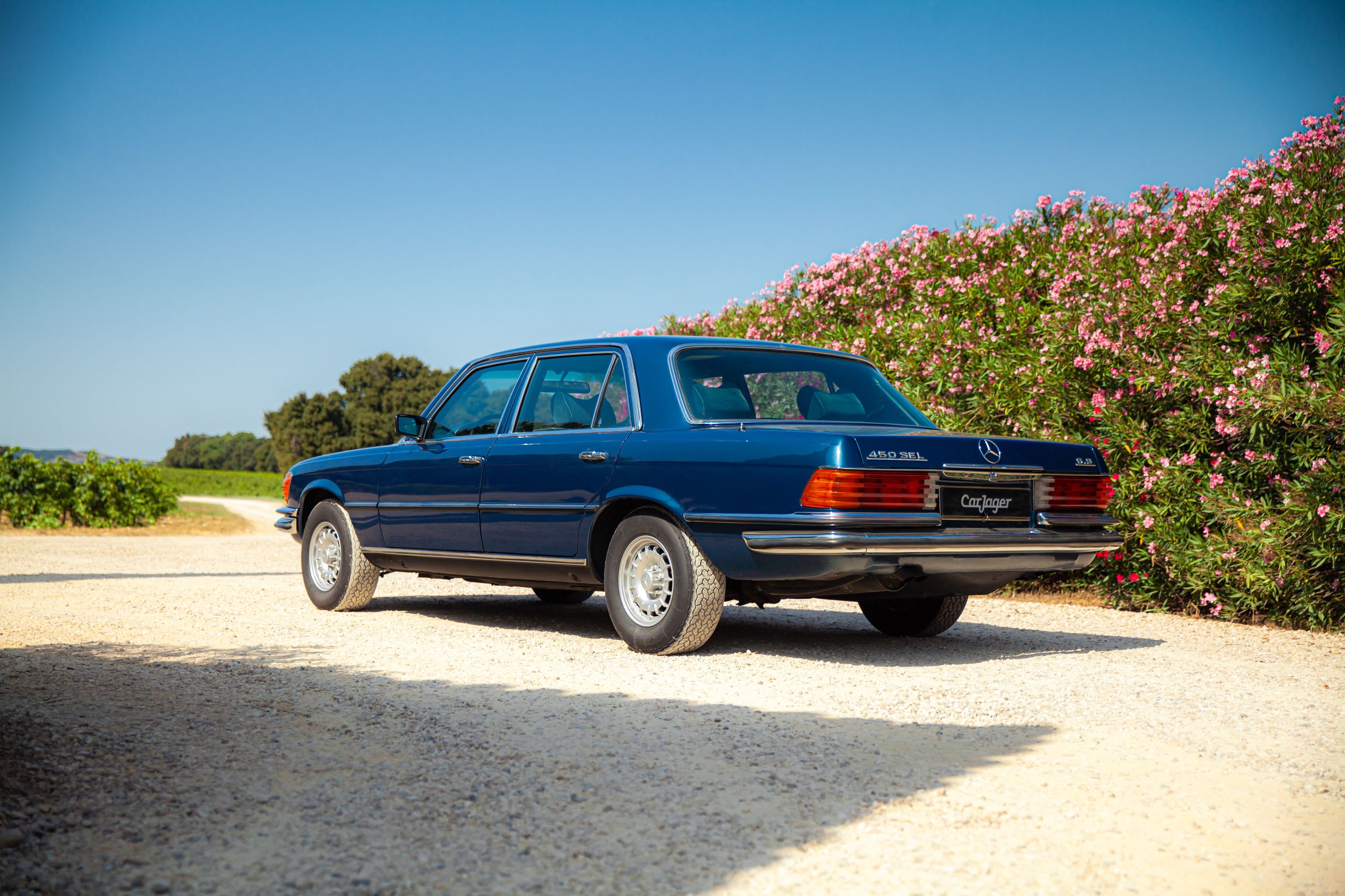 MERCEDES BENZ Classe S 450 Sel 6.9 1980 occasion extérieur (2)