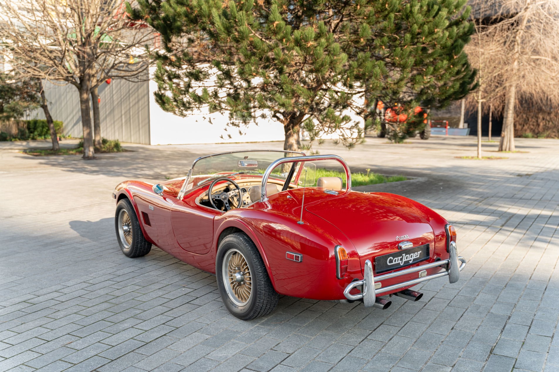 AC Cobra mk ii Aurora GRX 289 1984