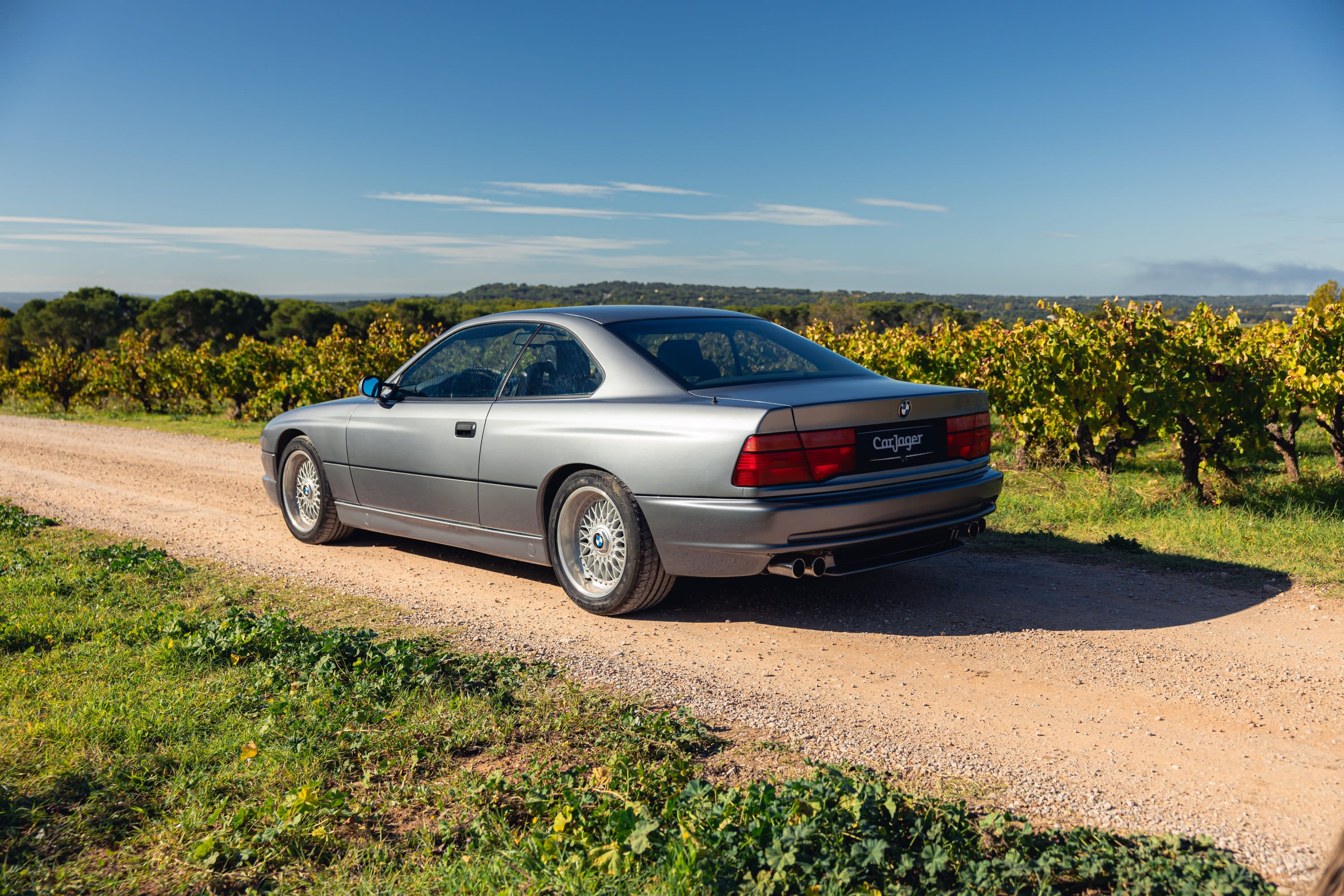 BMW Série 8 50 Csi E31 1993 occasion extérieur (2)