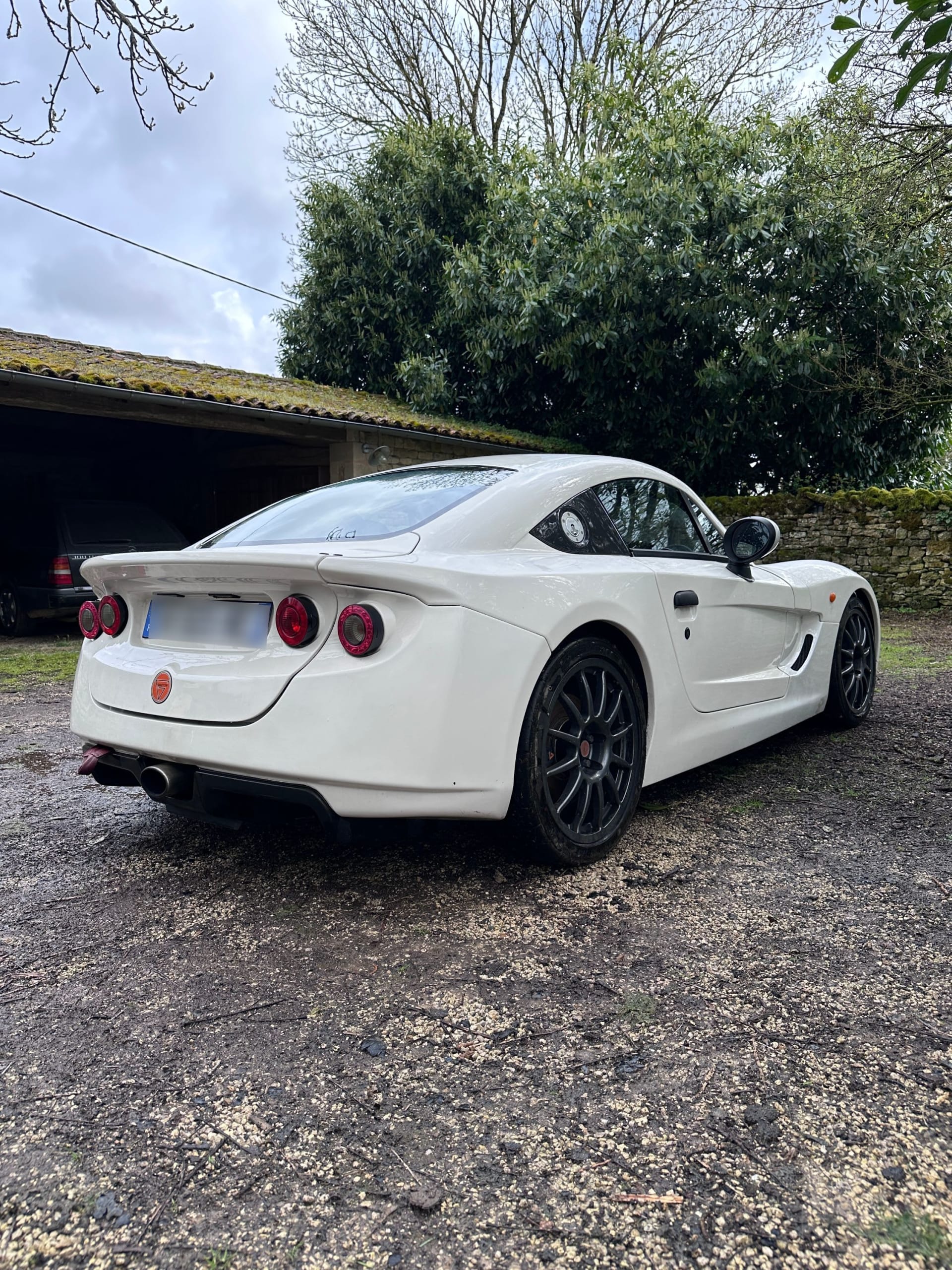 GINETTA G40 R 2011 occasion extérieur (2)