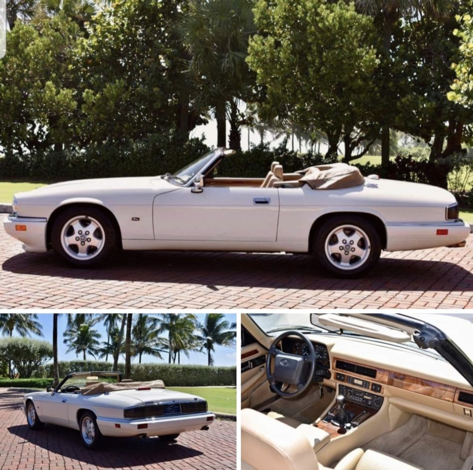 JAGUAR Xj-sc Tickford Découvrable 1995 occasion détails (1)
