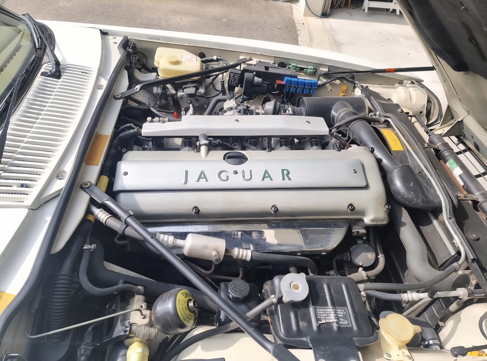 JAGUAR Xj-sc Tickford Découvrable 1995 occasion mécanique (1)