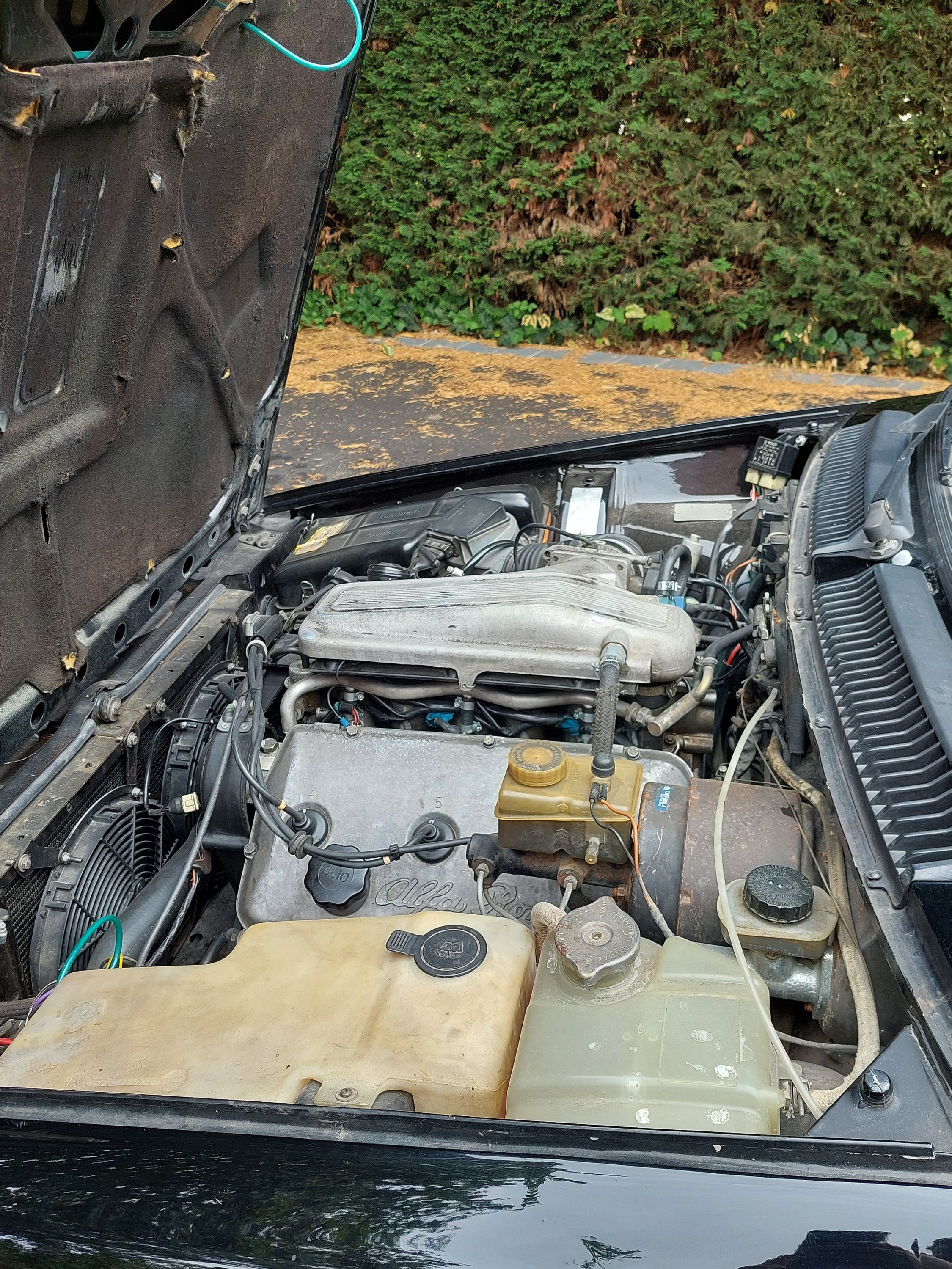 ALFA ROMEO Gtv 6 2.5 116 1982 used mechanical (1)