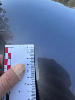 FERRARI F430 Spider 2007 occasion