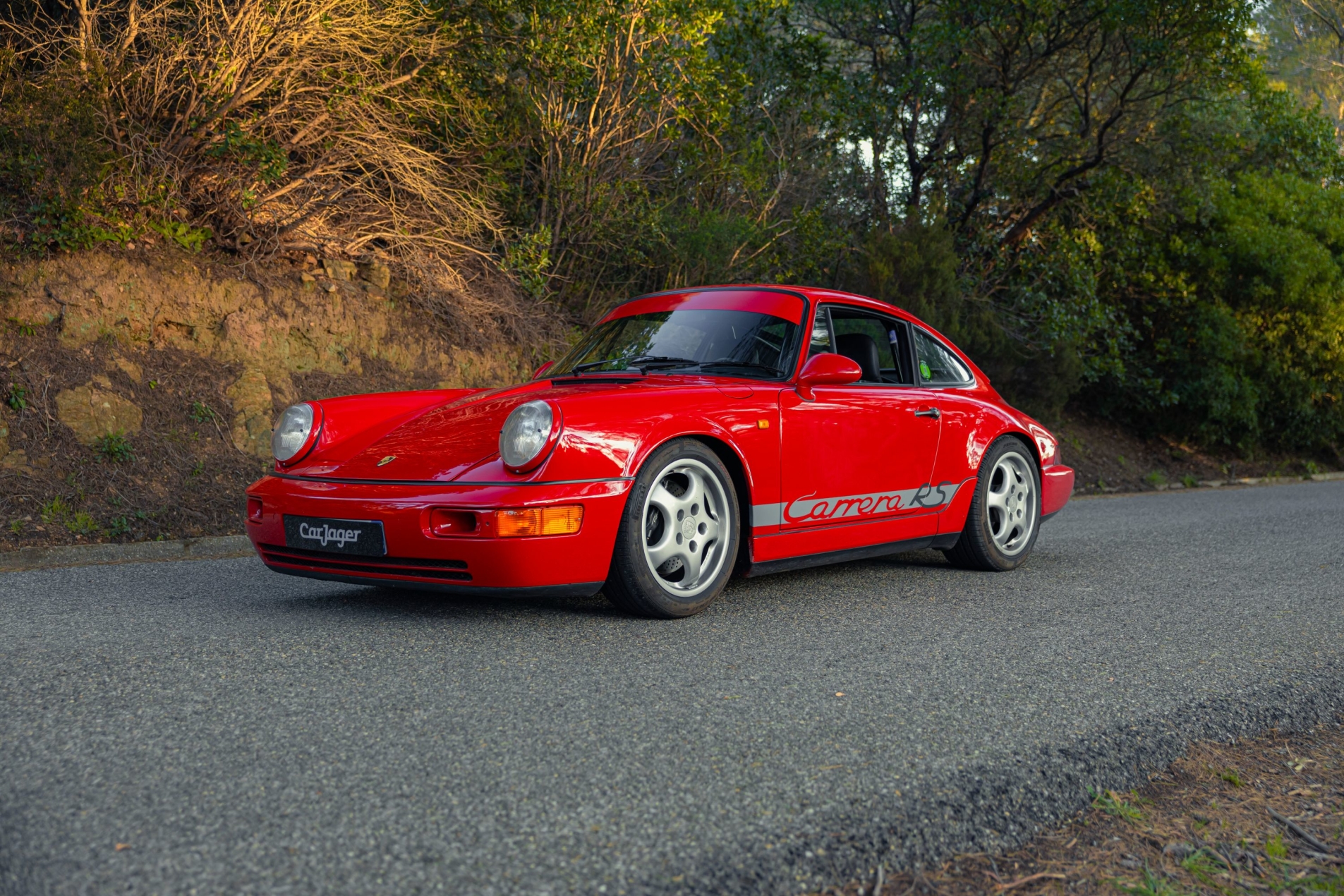 Photo PORSCHE 911 964 Carrera RS 1991