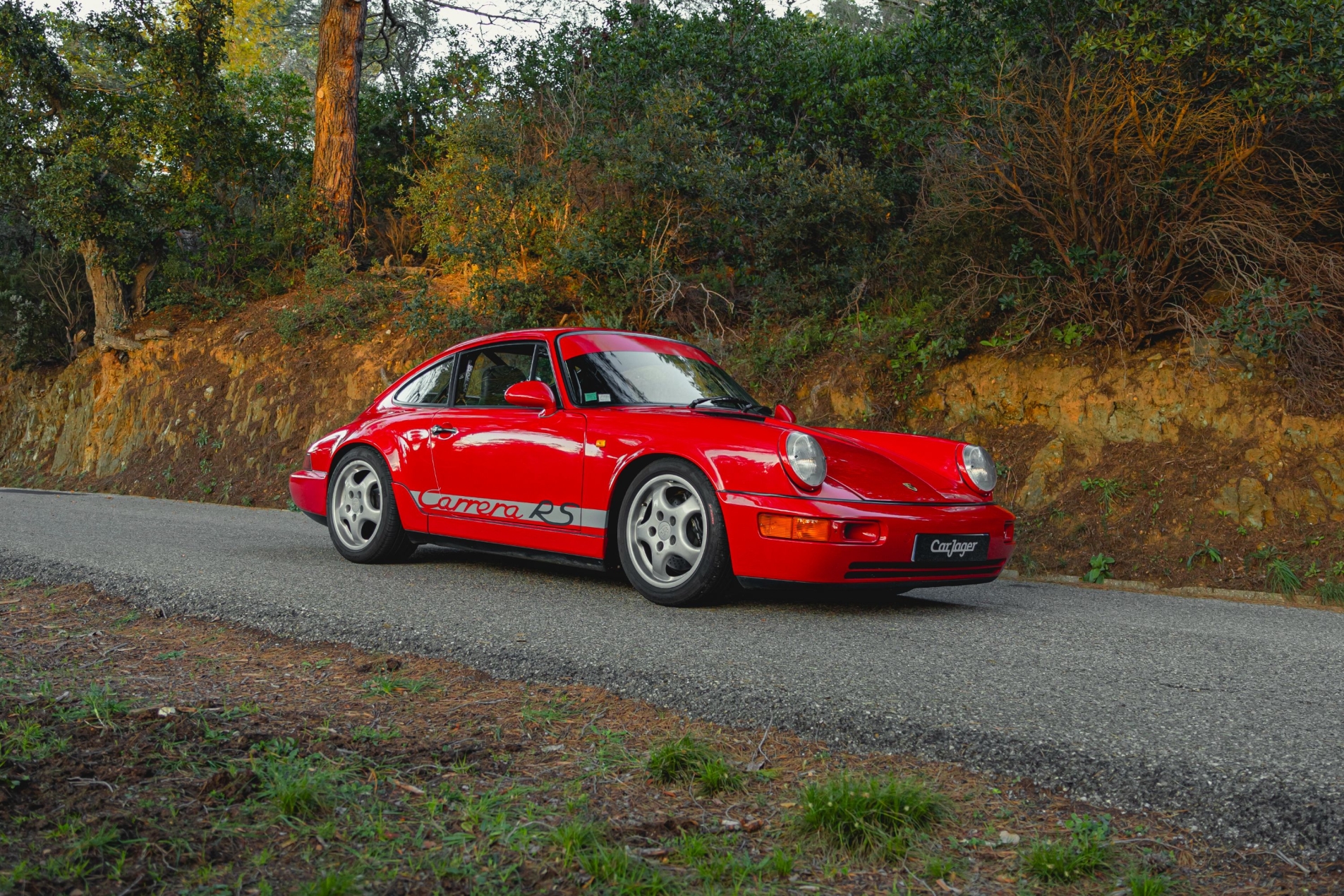 Photo PORSCHE 911 964 Carrera RS 1991