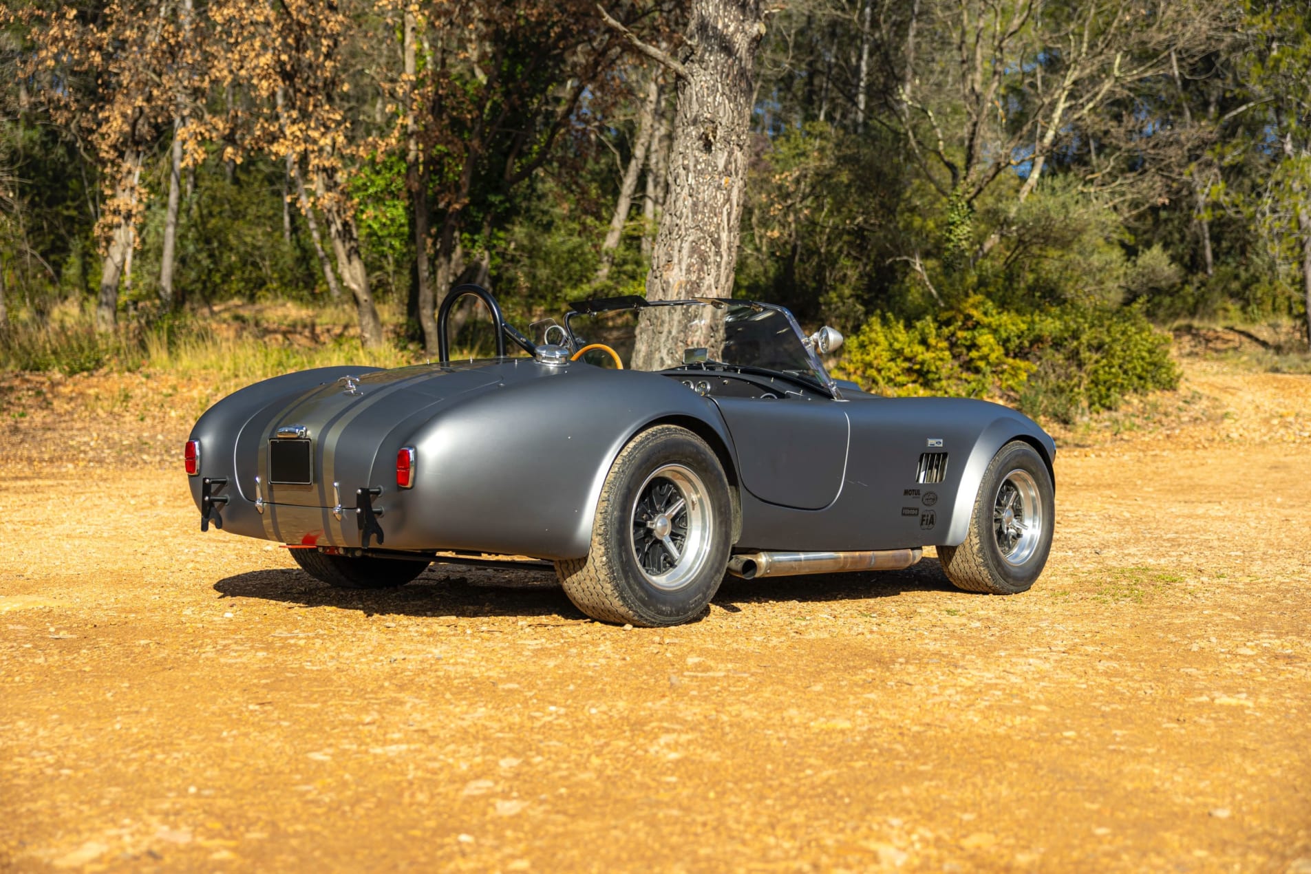 AC Cobra 1989