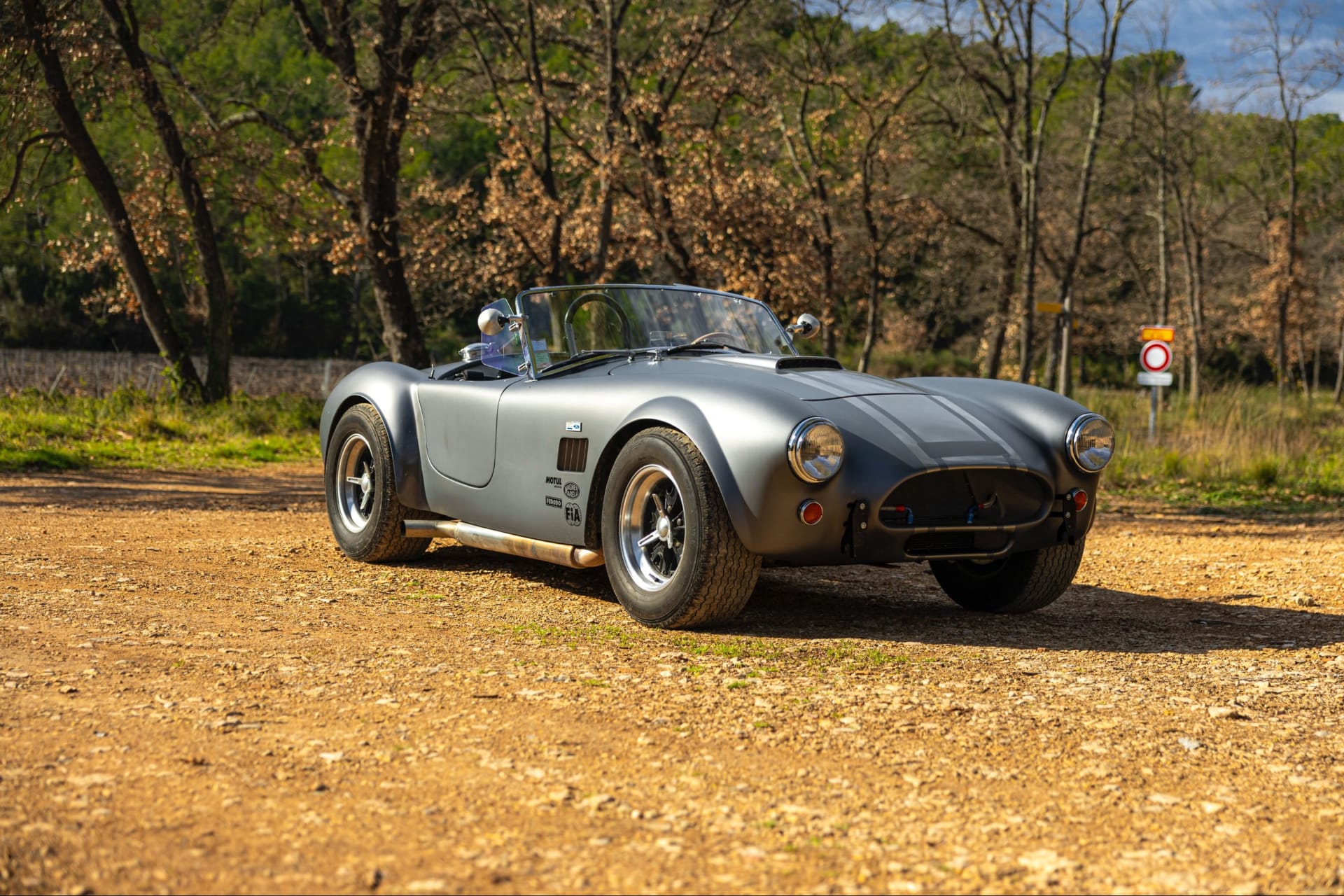 Ac Cobra Mk Iii 289