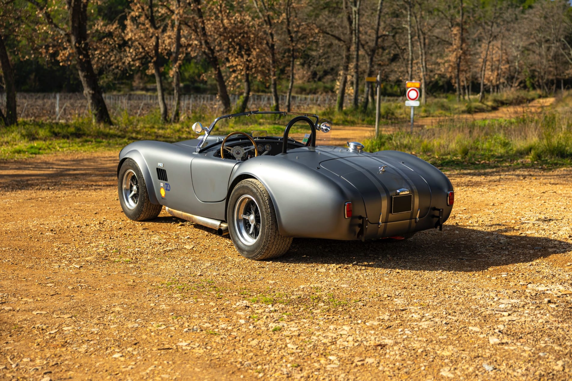 AC Cobra 289 1989