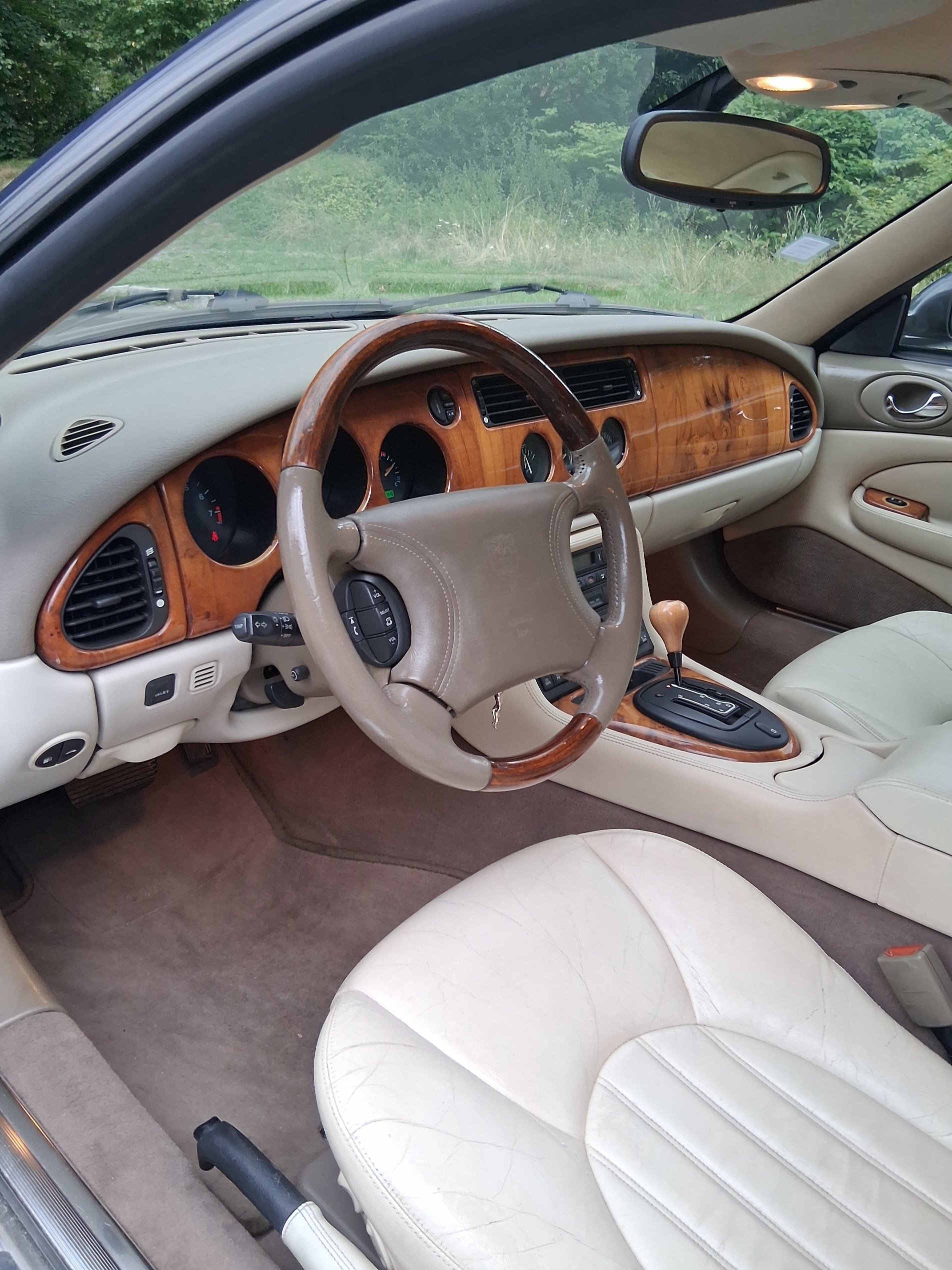 Interior Image