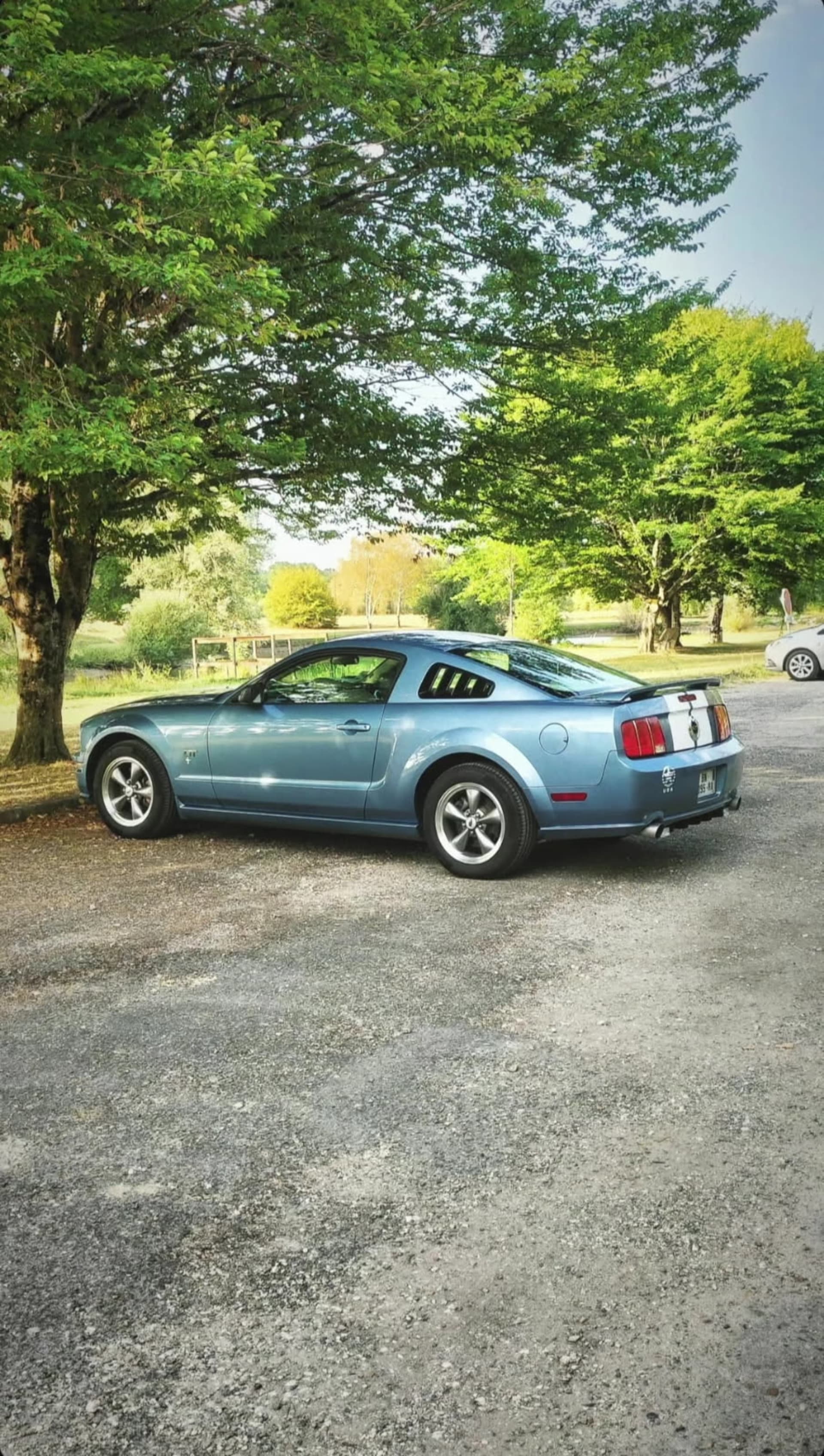 Ford Mustang V8