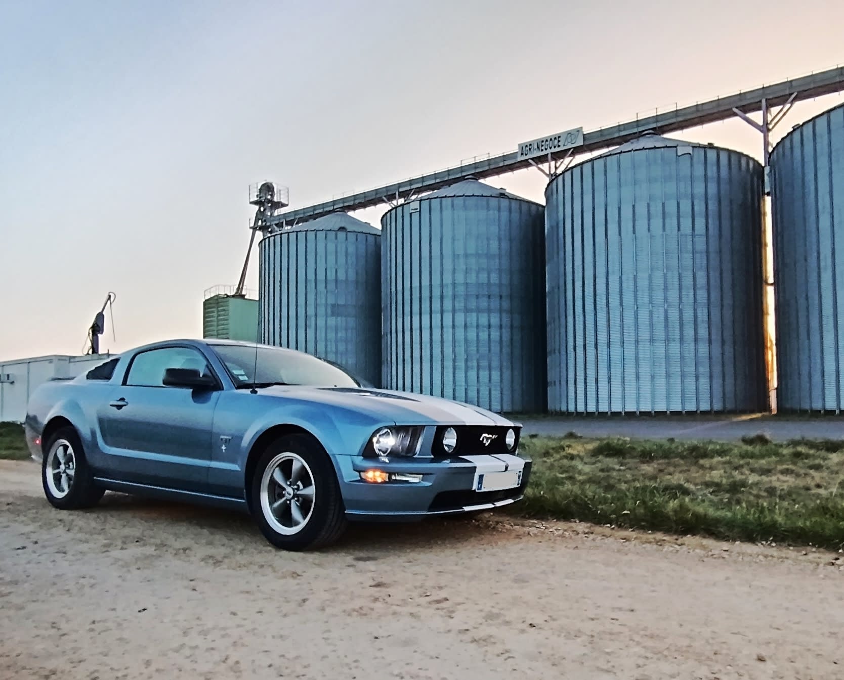 Ford Mustang V8
