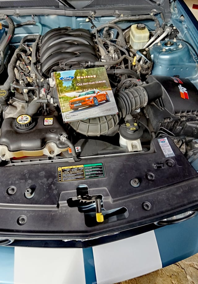 FORD Mustang V8 2005 occasion