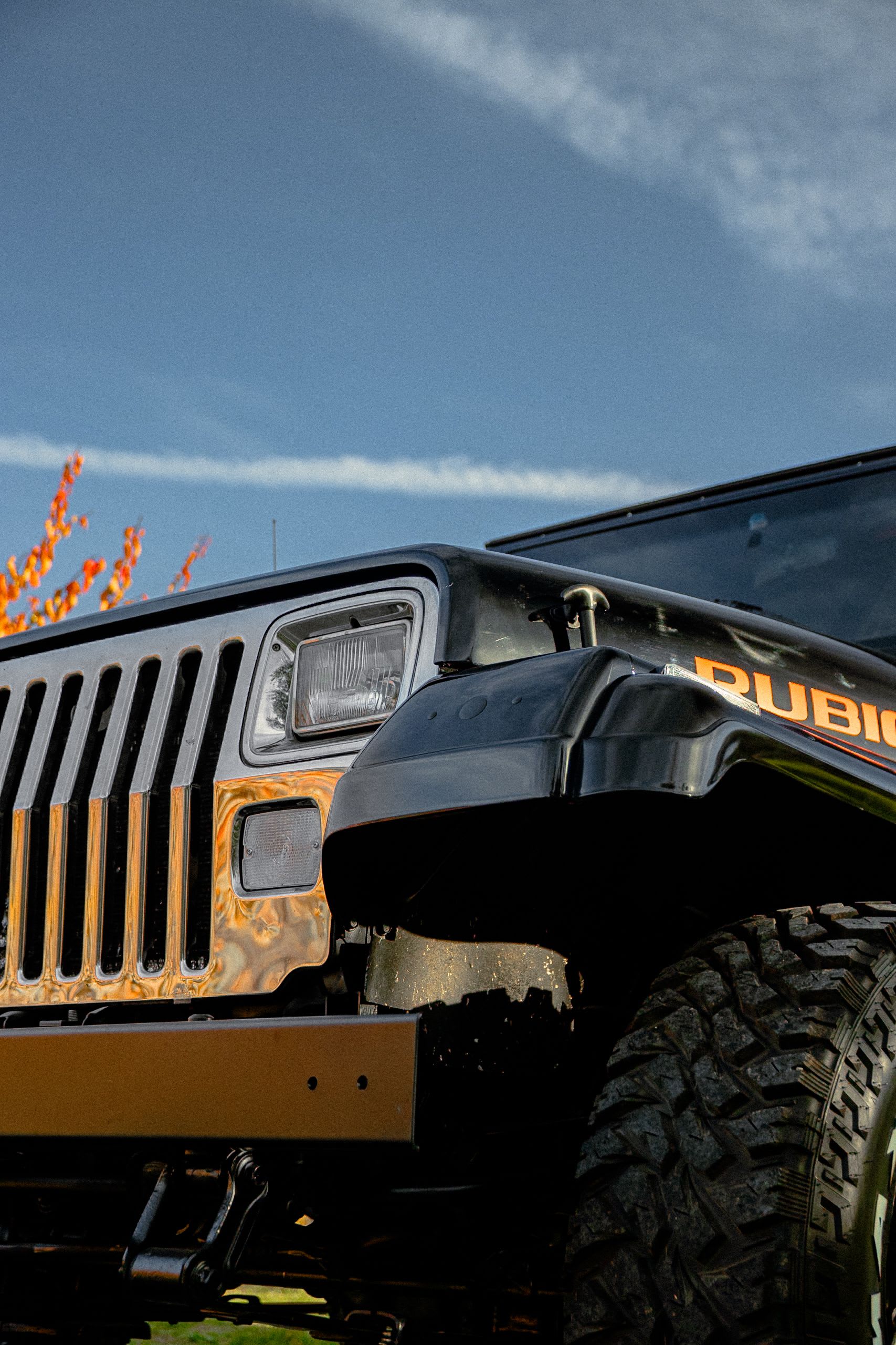 JEEP Wrangler W 1993 occasion détails (1)