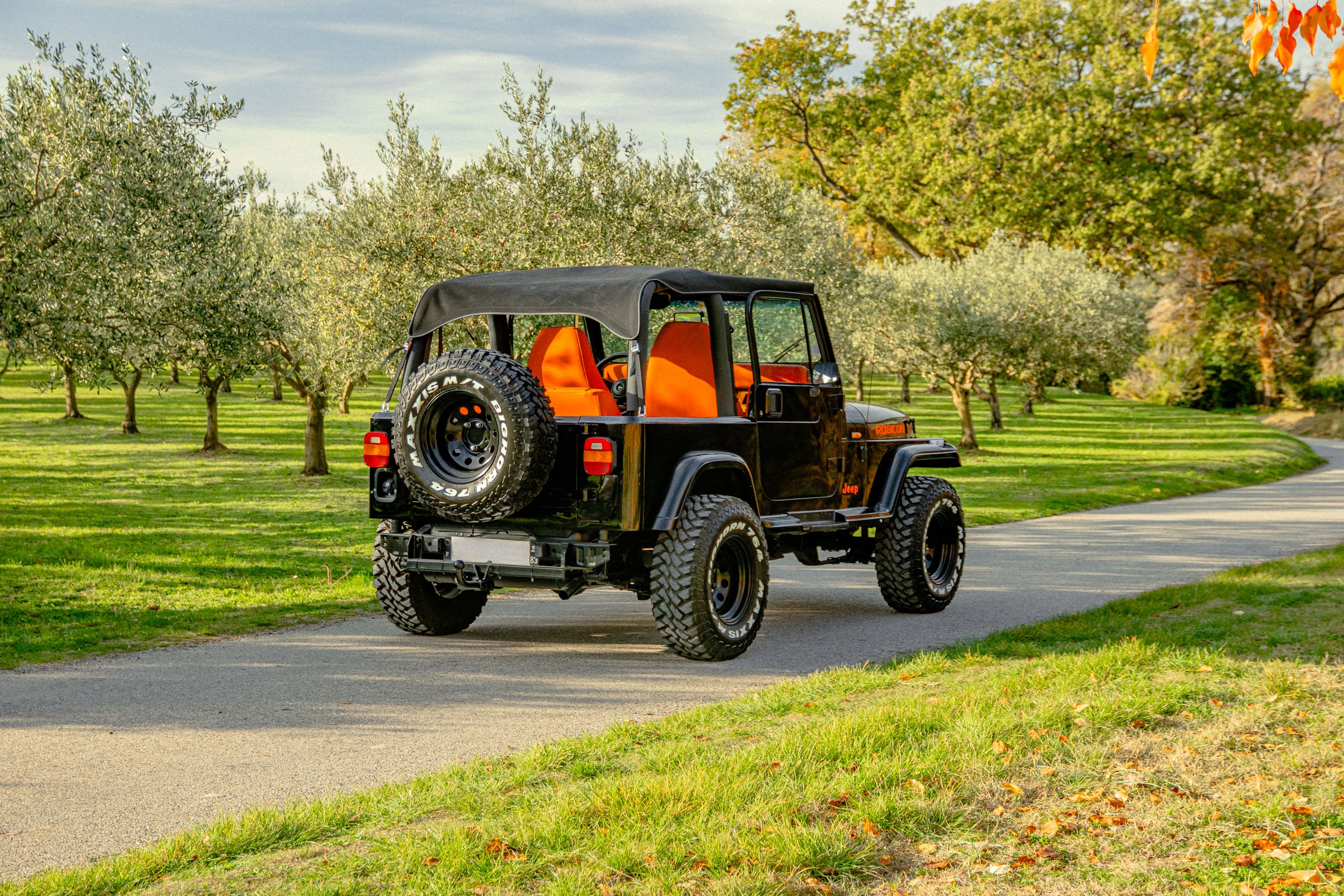 JEEP Wrangler W 1993 occasion vidéo (1)