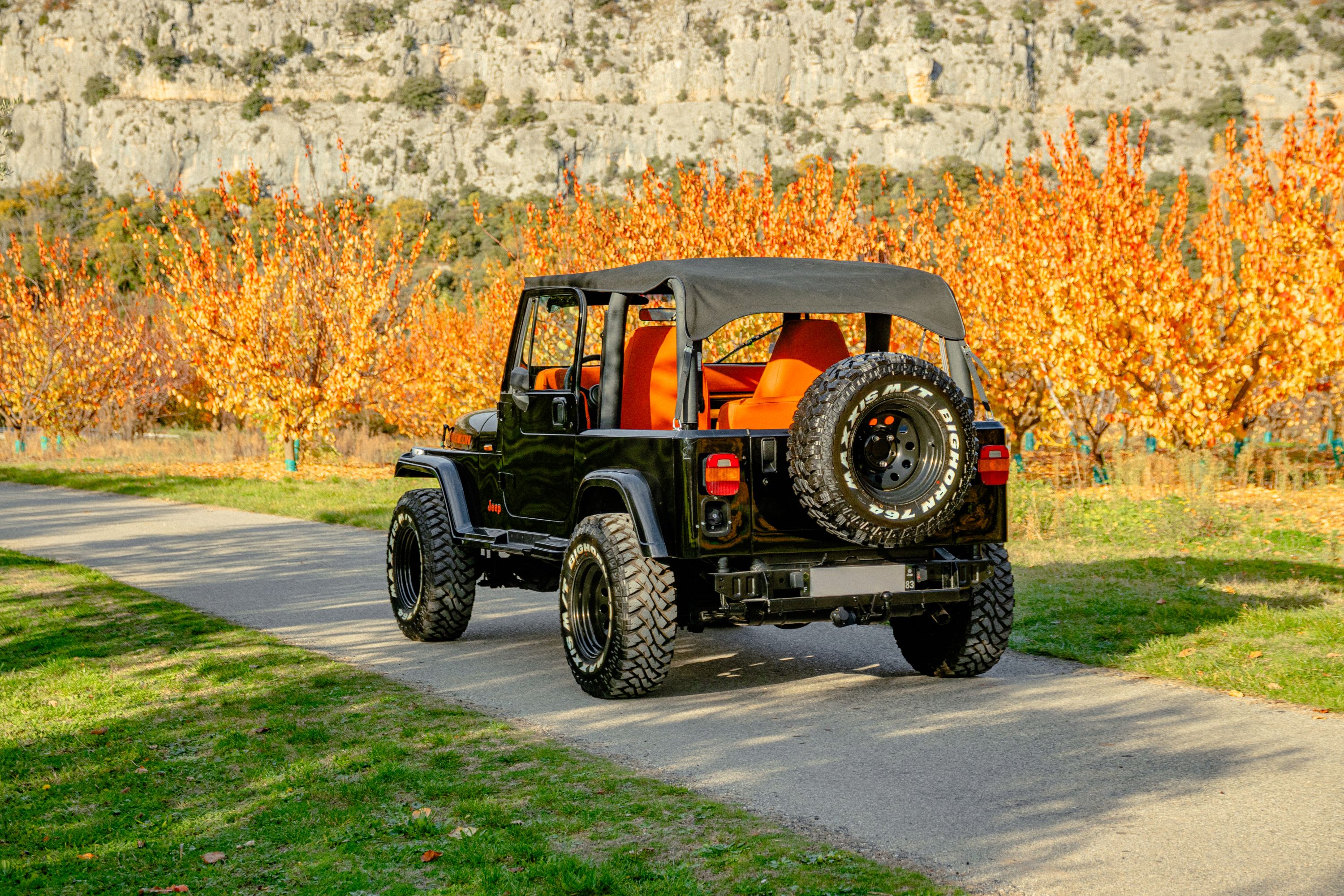 JEEP Wrangler W 1993 occasion extérieur (2)