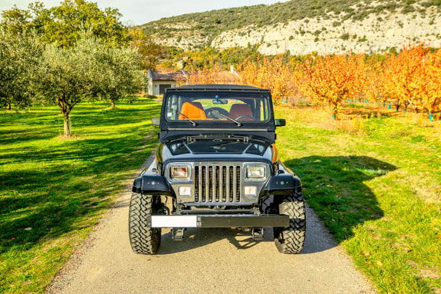 JEEP Wrangler W 1993 occasion