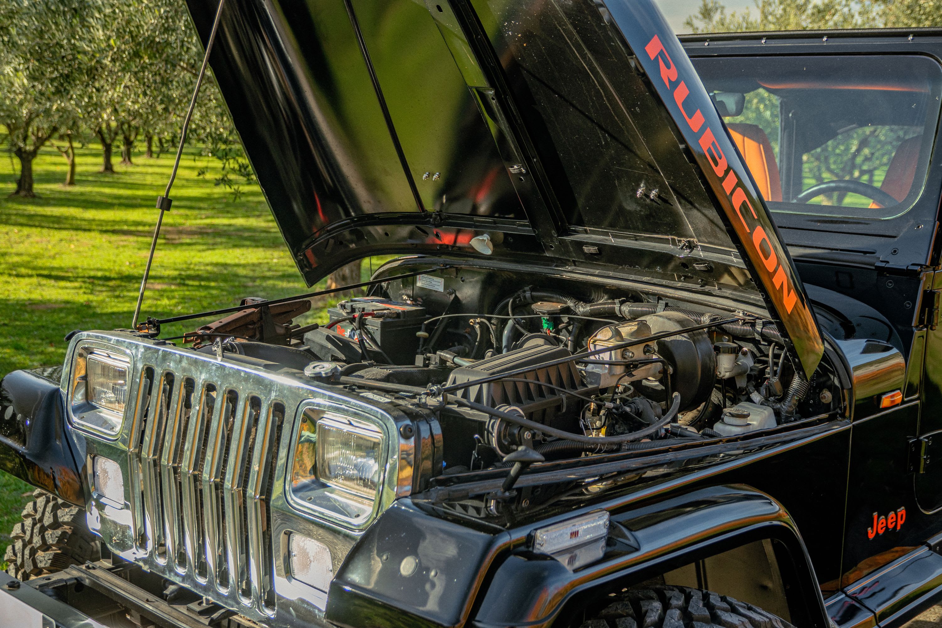 JEEP Wrangler W 1993 occasion mécanique (1)