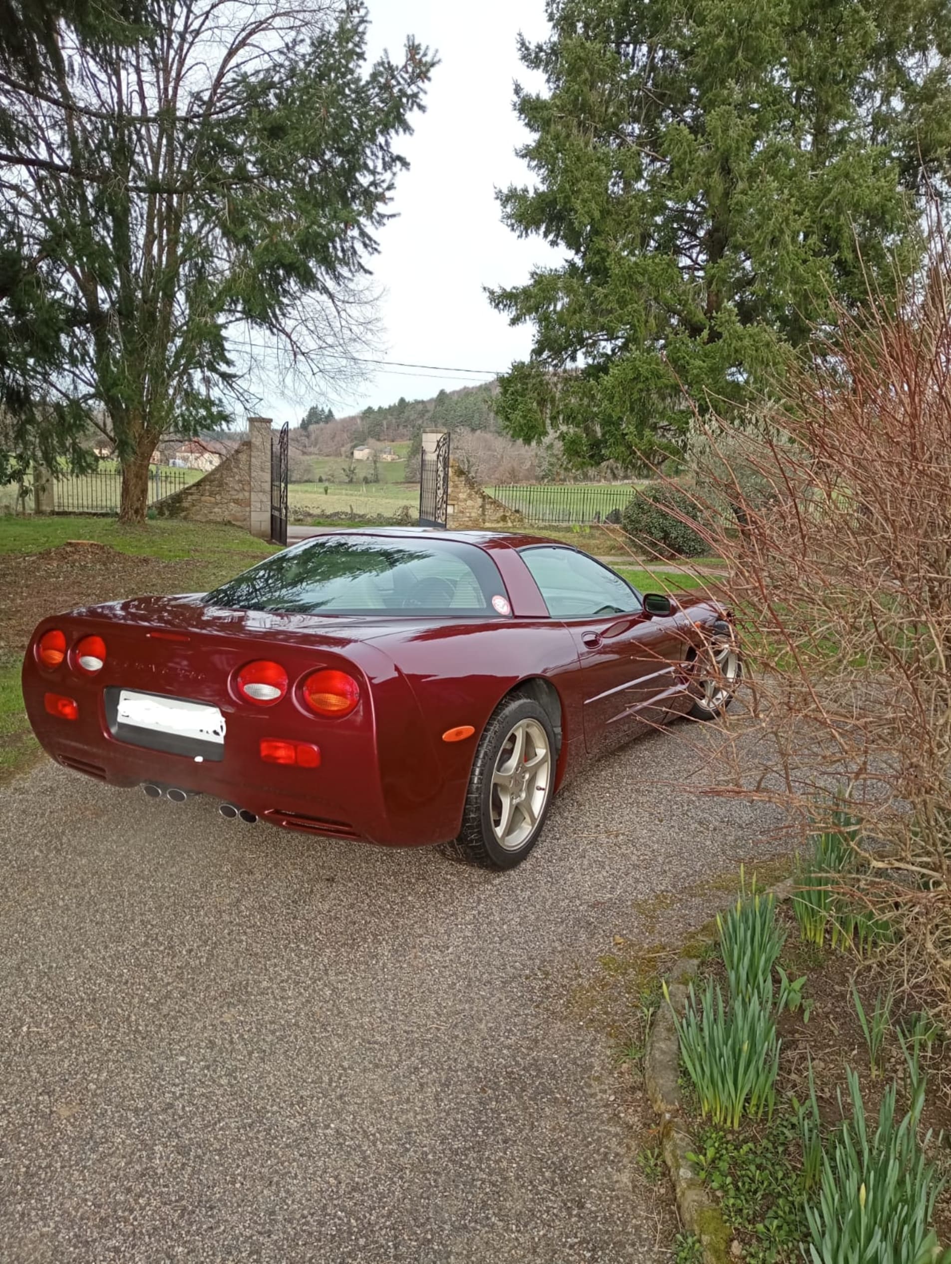 CHEVROLET Corvette c5 z06 hardtop 2004