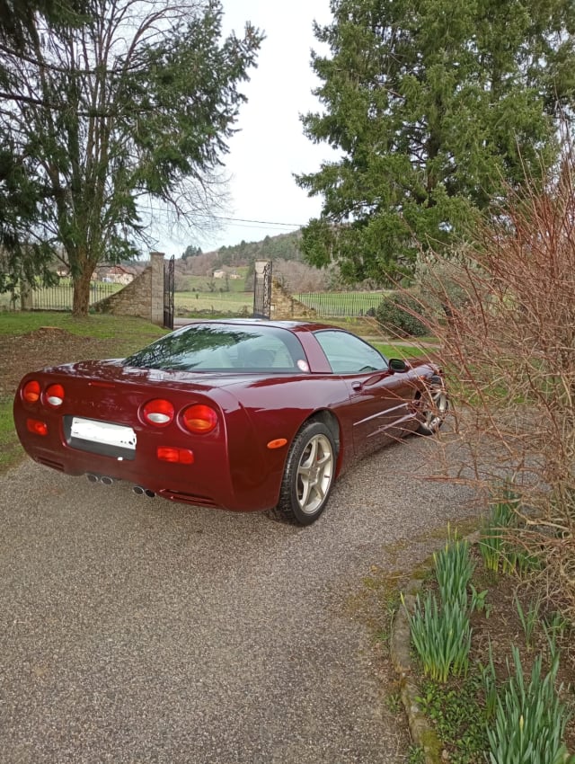 CHEVROLET Corvette C5 Z06 Hardtop 2004 occasion