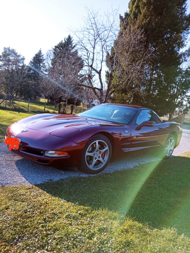 CHEVROLET Corvette C5 Z06 Hardtop 2004 occasion