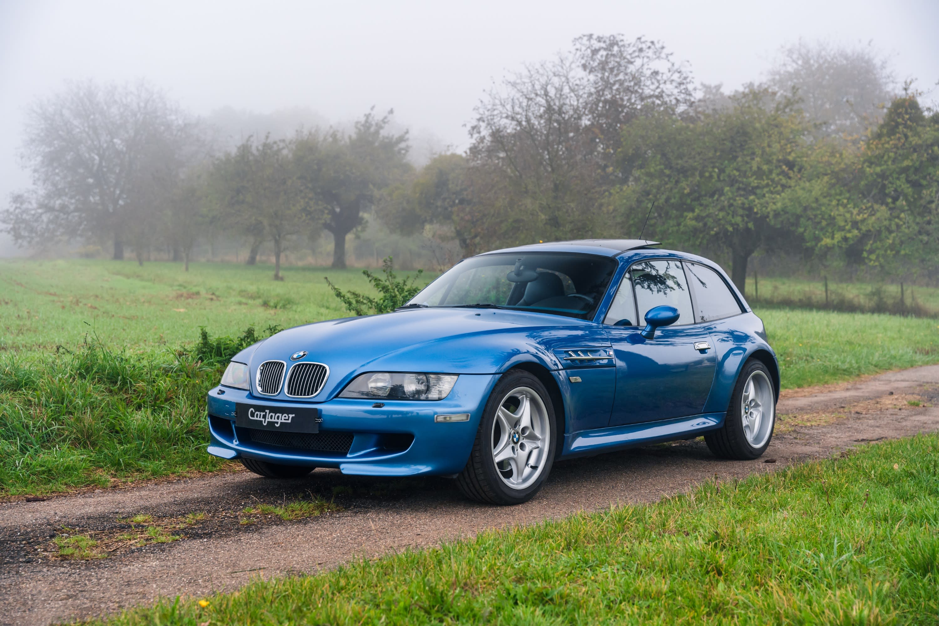 Bmw Z3 M