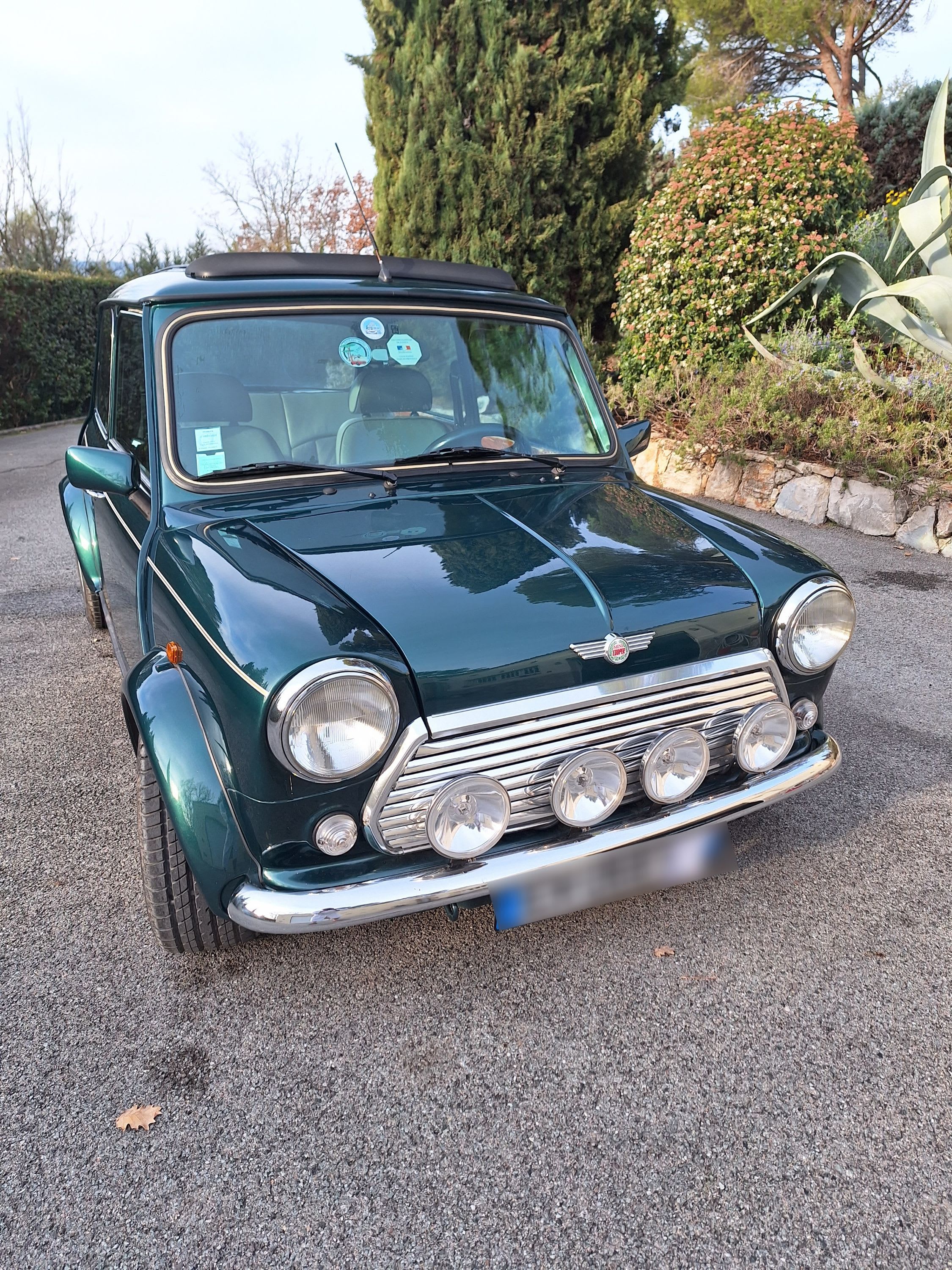 Austin Mini  