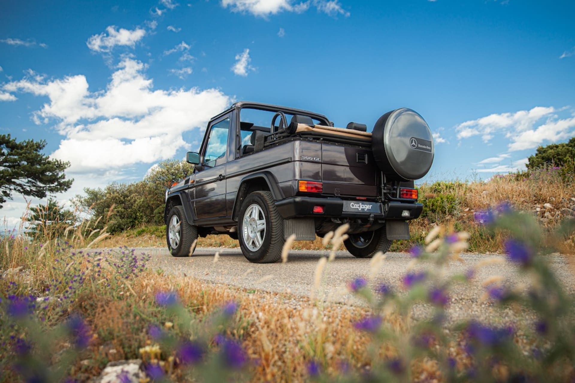Mercedes-benz Classe G W463 300 Ge