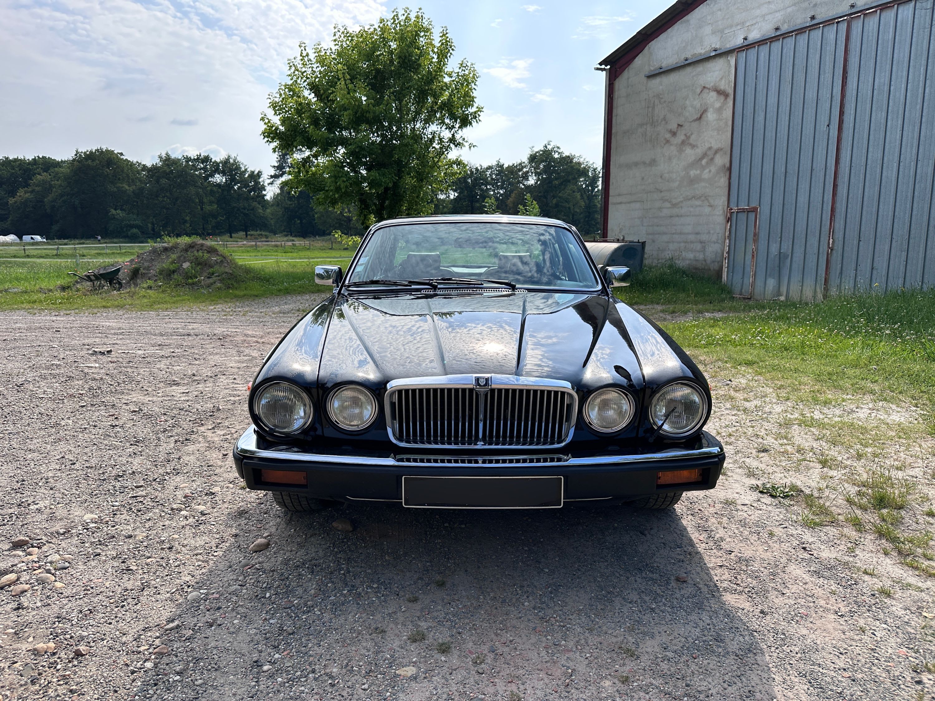 Jaguar Xj12 Series 3