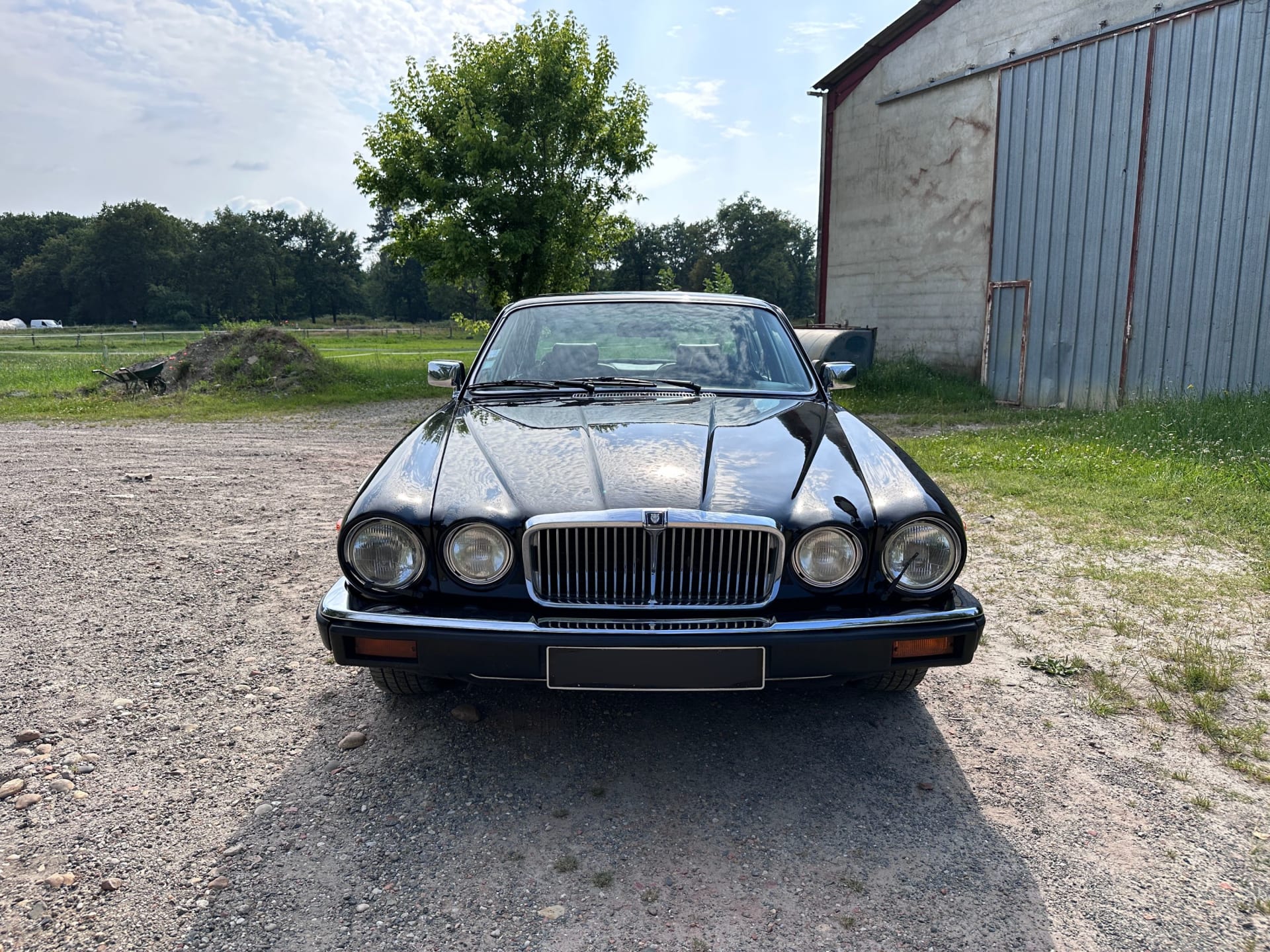 Jaguar Xj12 Series 3