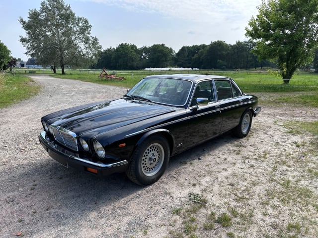 JAGUAR Xj12 Series 3 1985 usado
