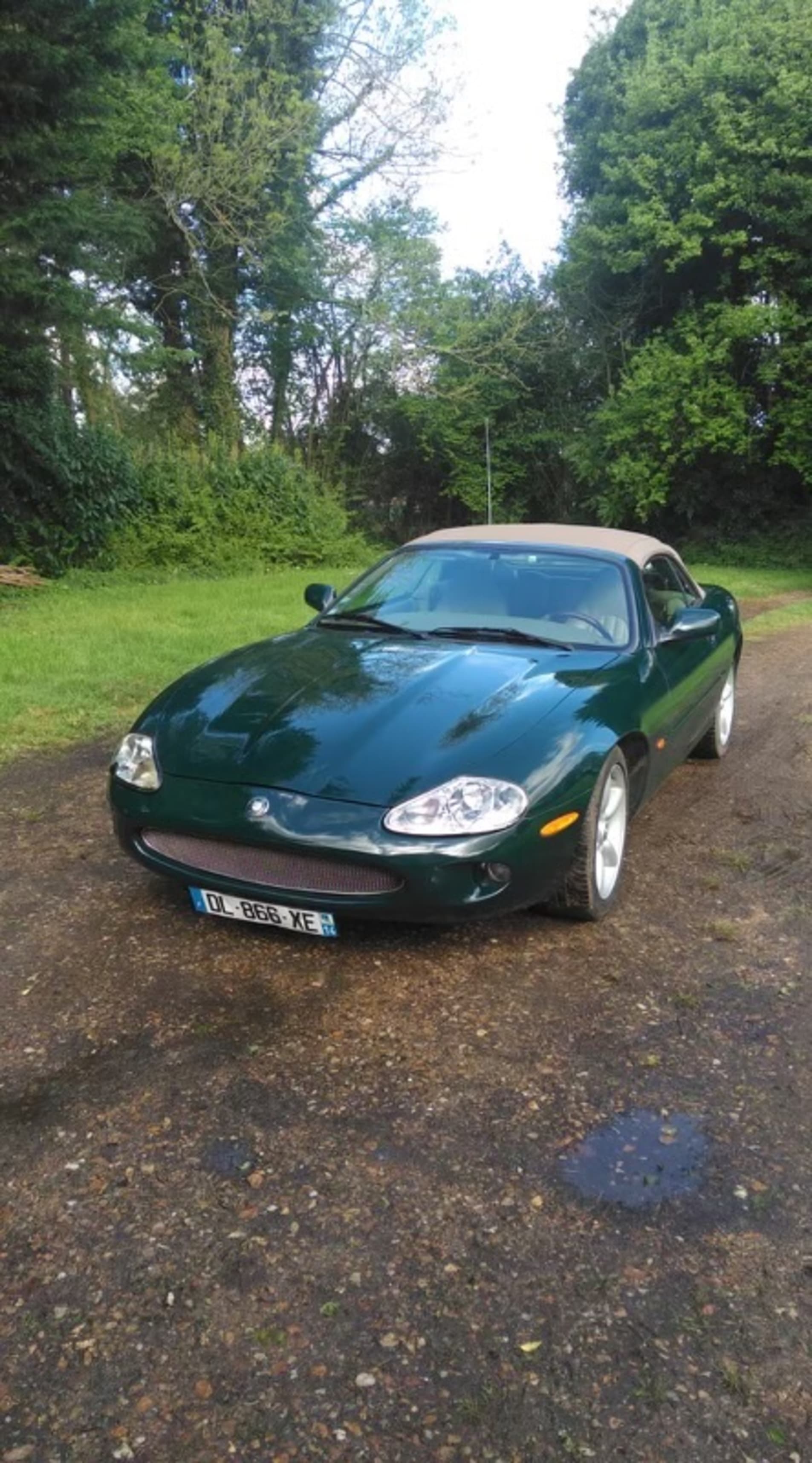 Photo JAGUAR Xk8 x100 2000