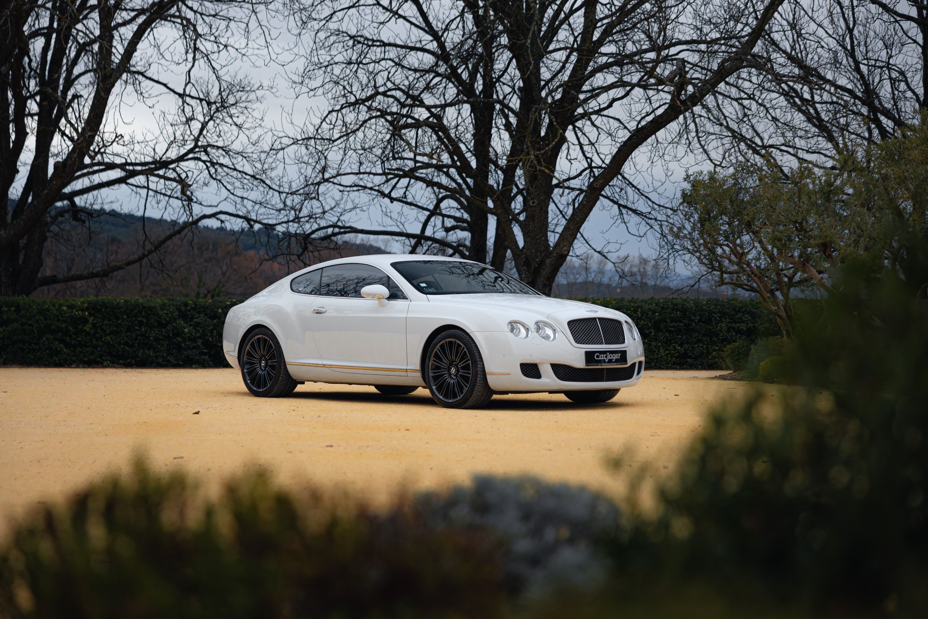 Bentley Continental Gt Speed W12