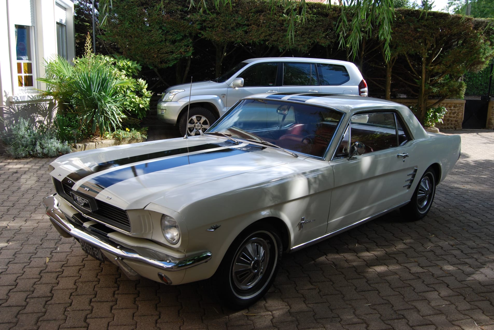 FORD Mustang i 1964-1973 1996